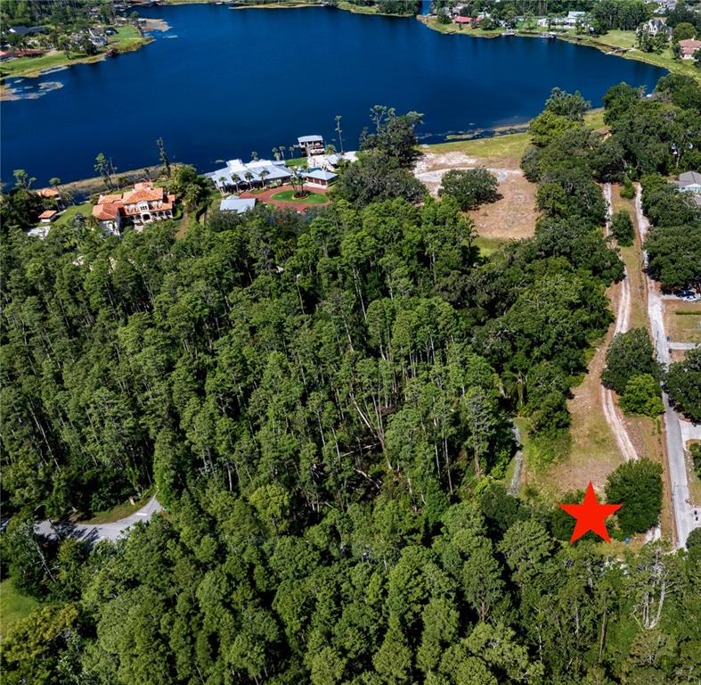 Lutz, Florida, 33548, United States, ,Land,For Sale,1795023