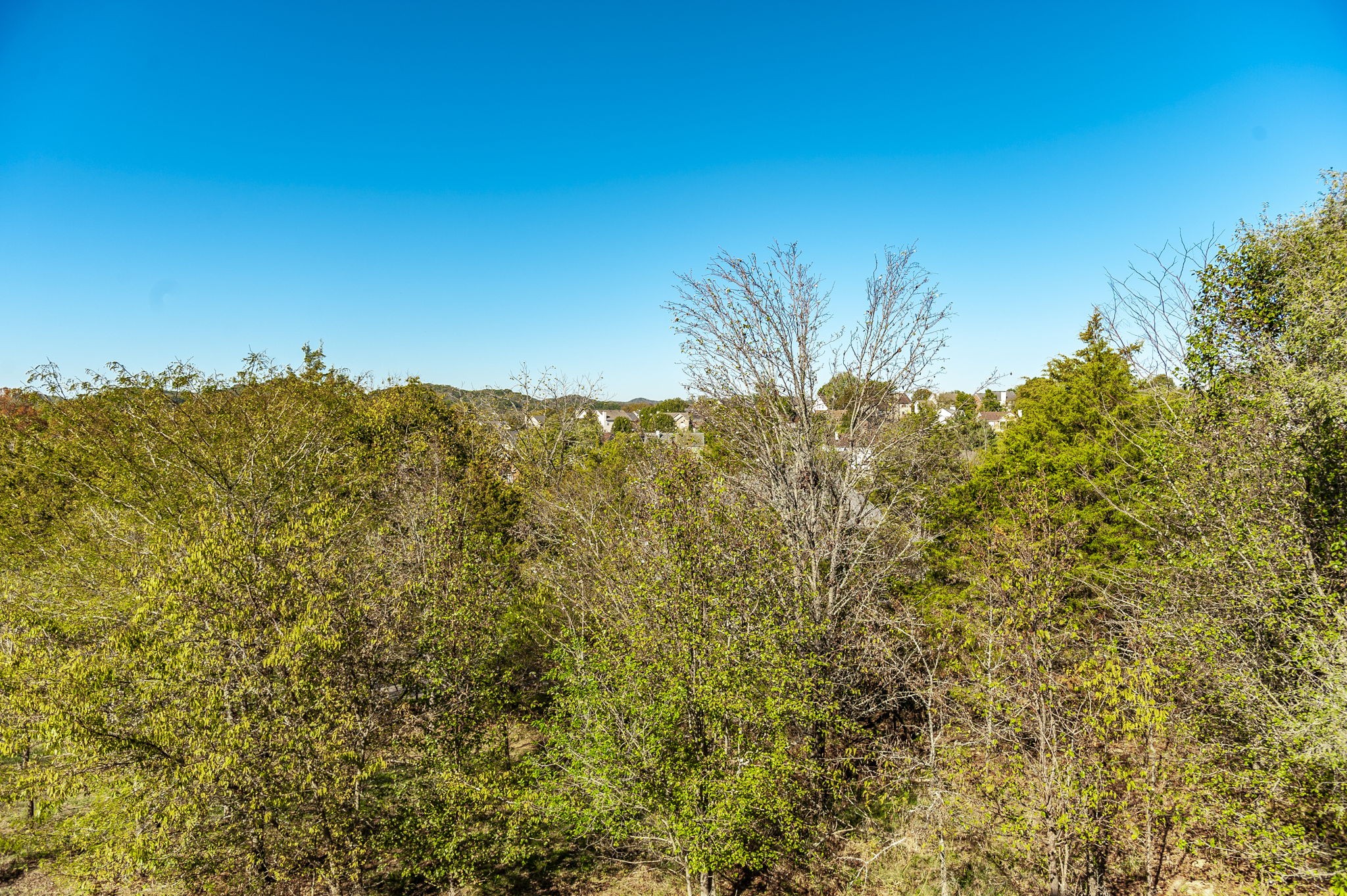 Goodlettsville, Tennessee, 37072, United States, 5 Bedrooms Bedrooms, ,4 BathroomsBathrooms,Residential,For Sale,1974837