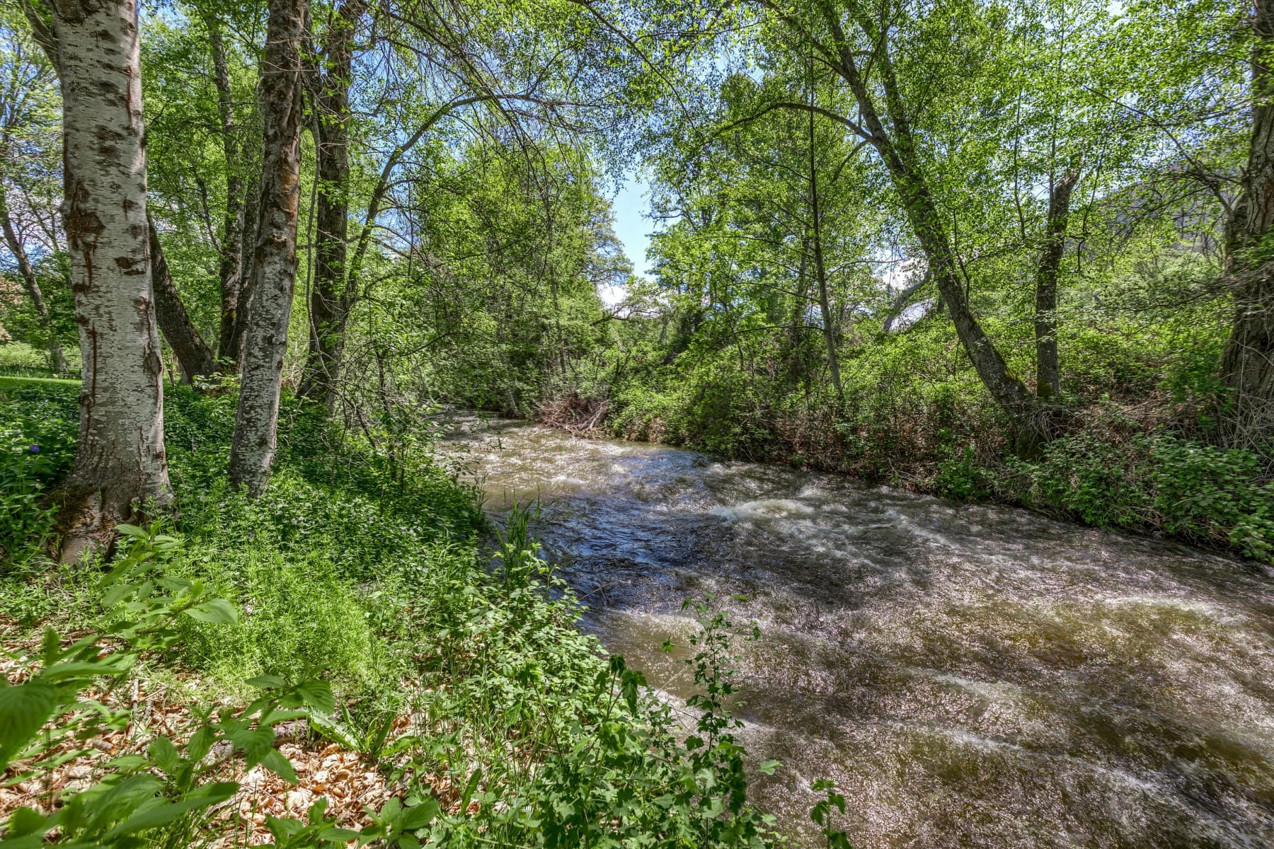  4000 Little Applegate Road Jacksonville, OR 97530 - 物件實景