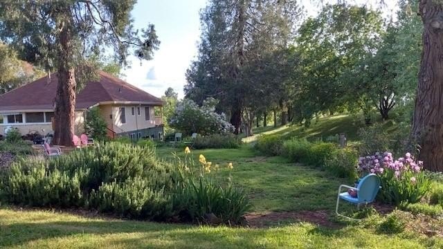 Mokelumne Hill, California, 95245, United States, 5 Bedrooms Bedrooms, ,3 BathroomsBathrooms,Residential,For Sale,1914362