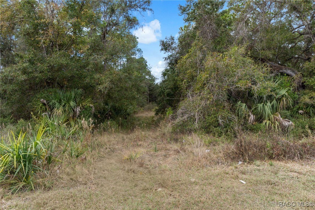 Crystal River, Florida, 34428, United States, ,Land,For Sale,2005884