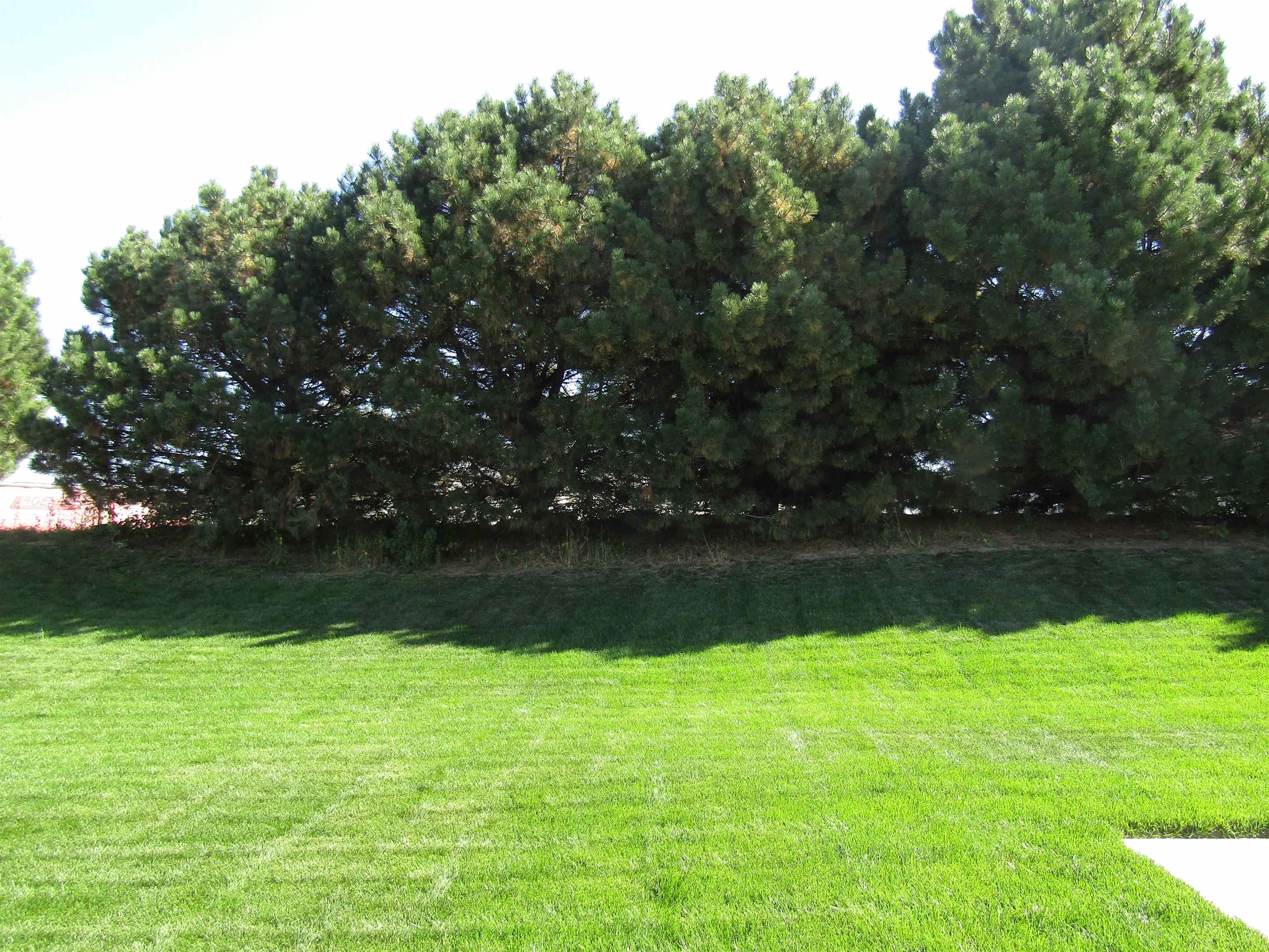 Milton, Wisconsin, 53563, United States, 3 Bedrooms Bedrooms, ,2 BathroomsBathrooms,Residential,For Sale,1983737