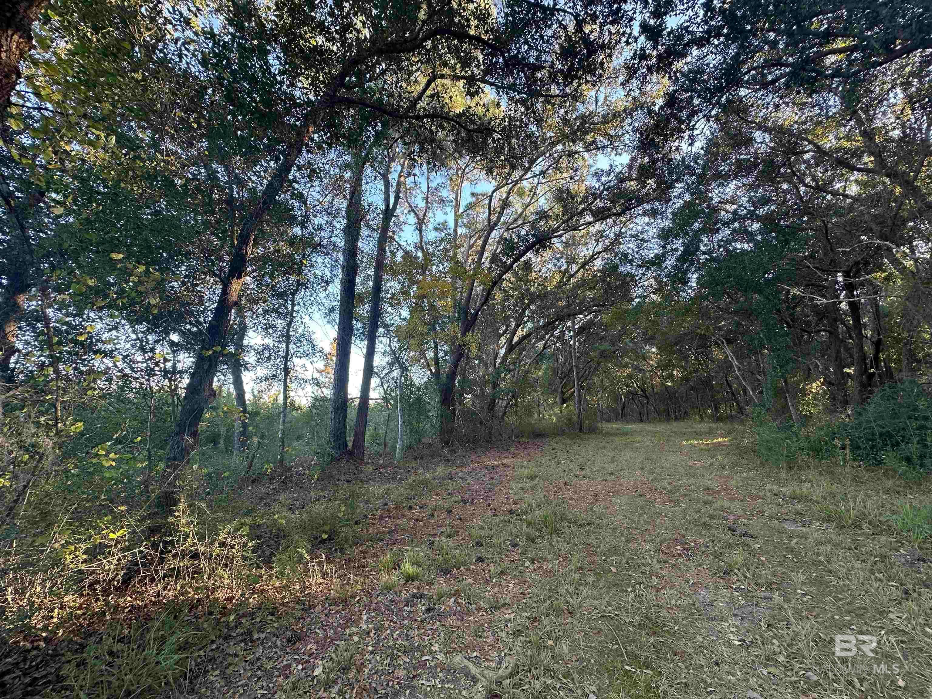 Foley, Alabama, 36535, United States, ,Land,For Sale,1992817