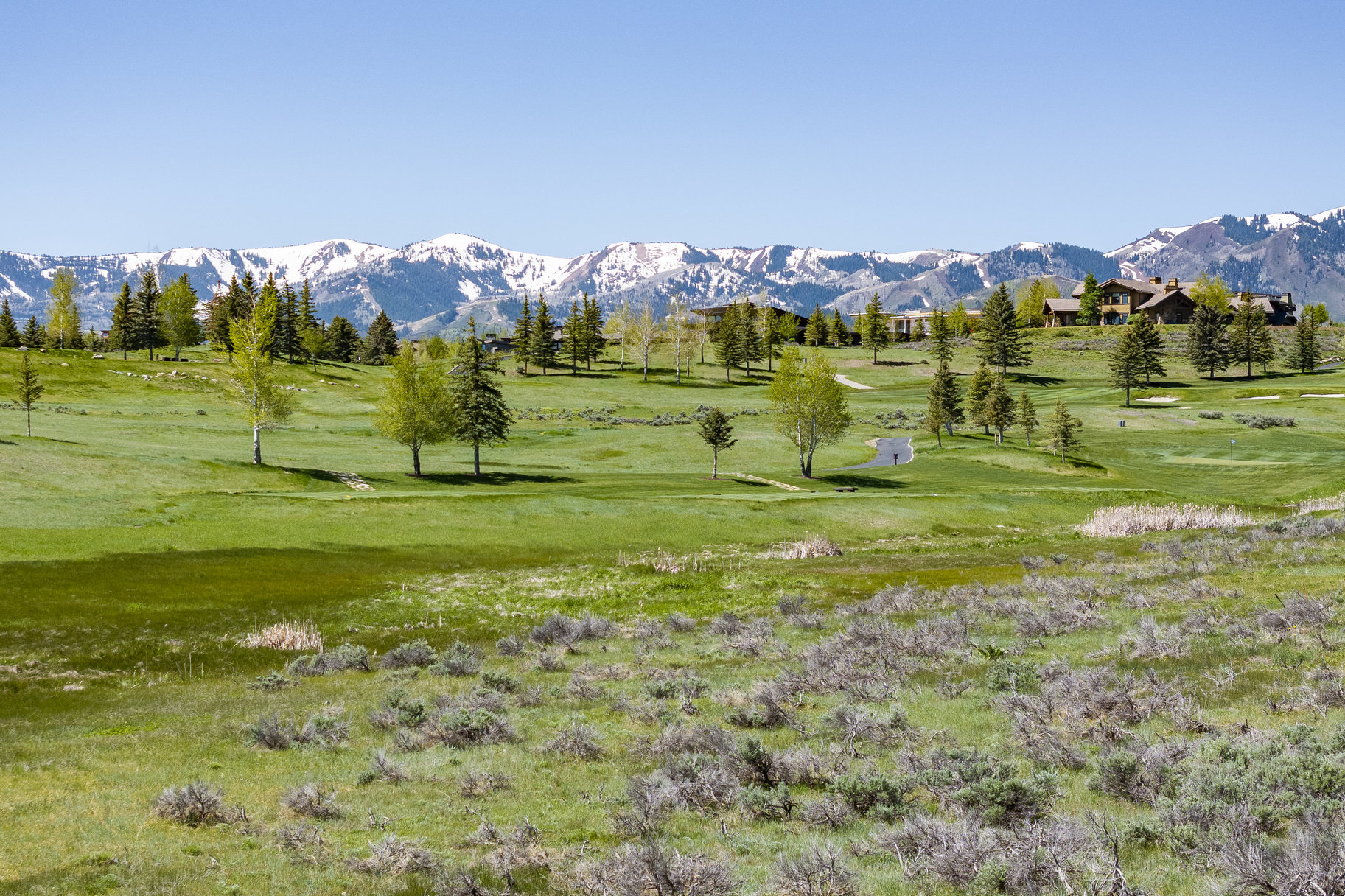  South-facing, Flat Lot on the 4th Green at Glenwild with Ski Resort Views - 物件實景