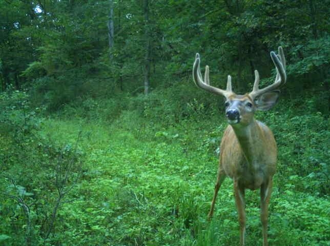 Muscoda, Wisconsin, 53573, United States, 3 Bedrooms Bedrooms, ,3 BathroomsBathrooms,Residential,For Sale,1990387