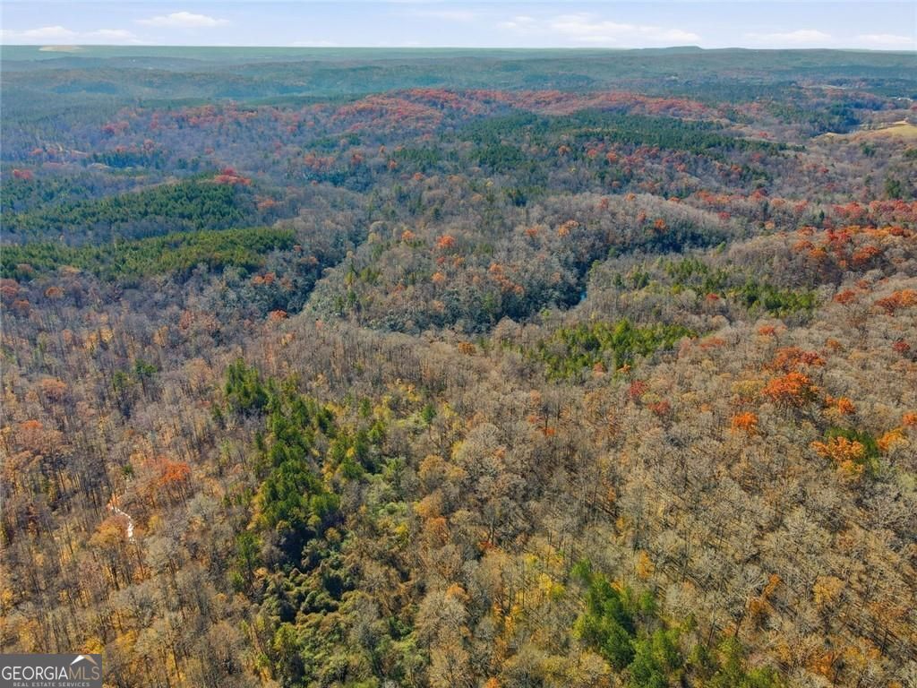 Jasper, Georgia, 30143, United States, ,Land,For Sale,1996551