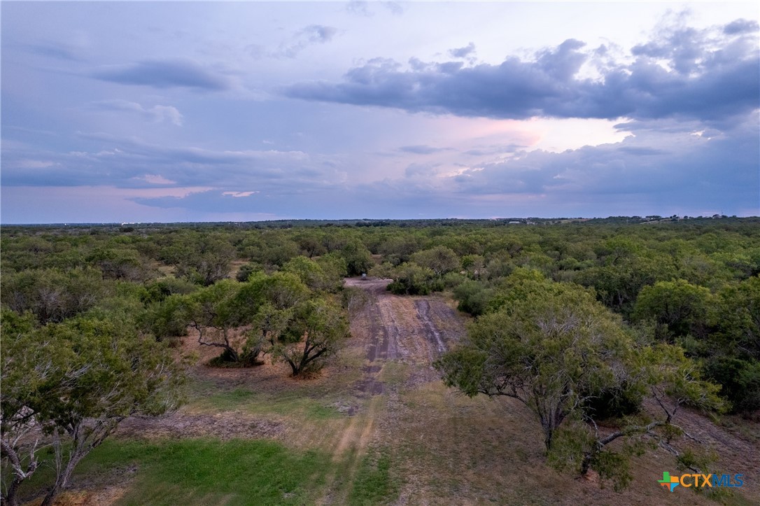 000 CR376, George West, Texas, 78022, United States, ,Land,For Sale,000 CR376,1676850