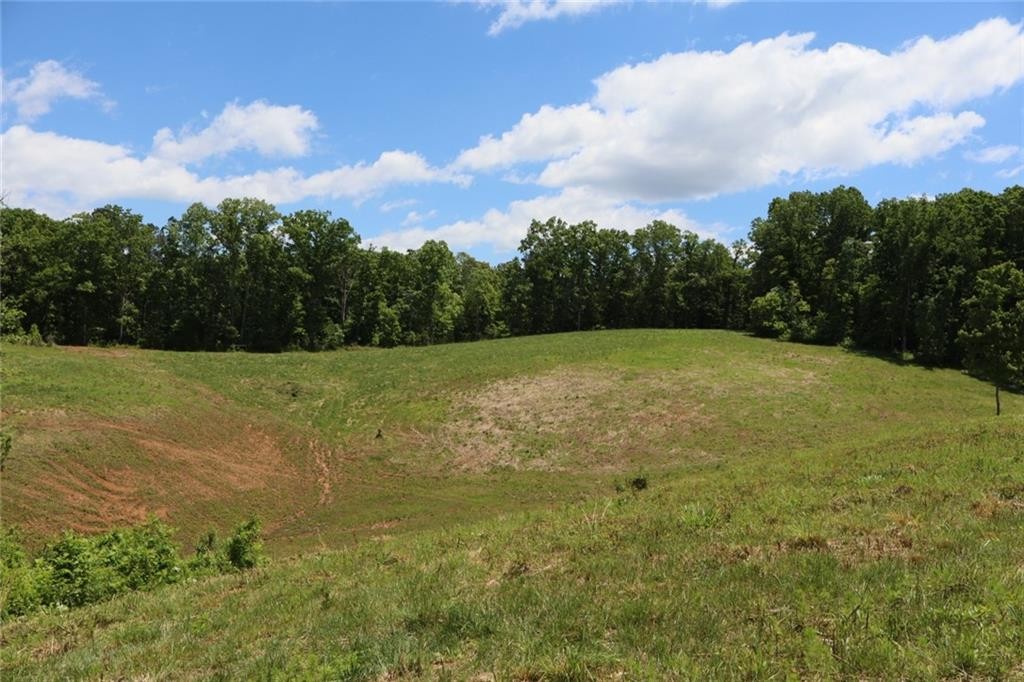 Ellijay, Georgia, 30540, United States, ,Residential,For Sale,1881390