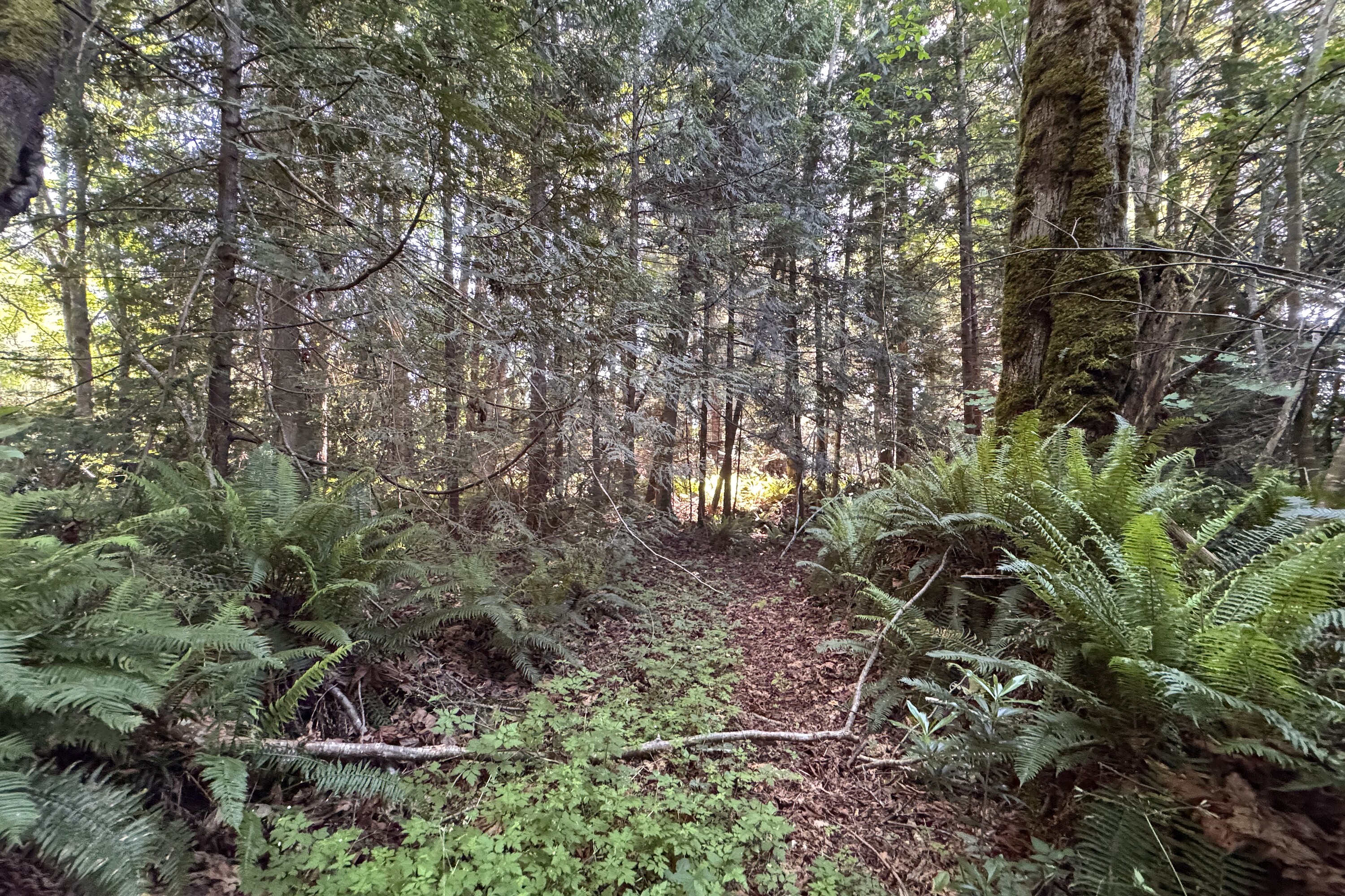  Sechelt, Sunshine Coast - 物件實景