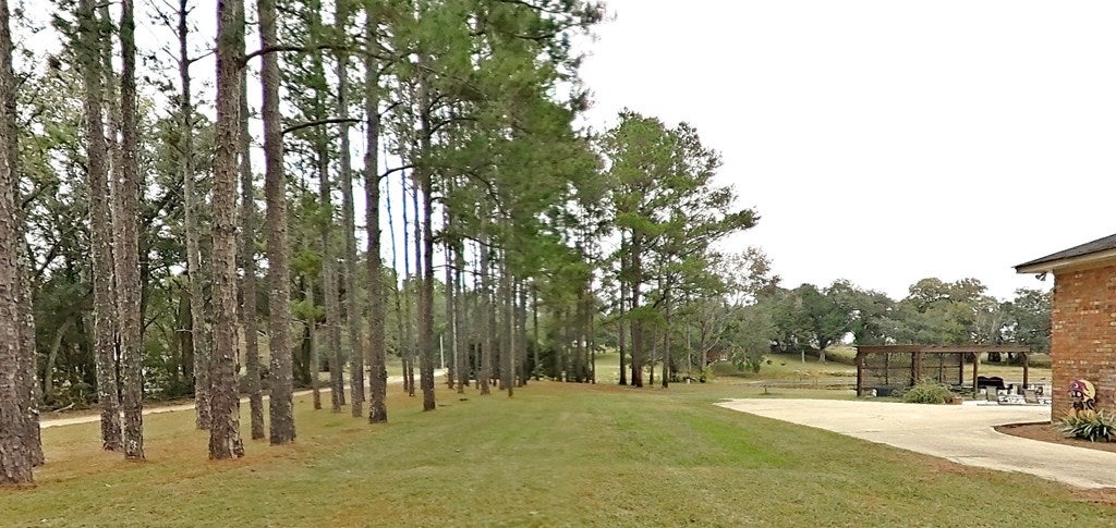 Bainbridge, Georgia, 39817, United States, 4 Bedrooms Bedrooms, ,4 BathroomsBathrooms,Residential,For Sale,1988533