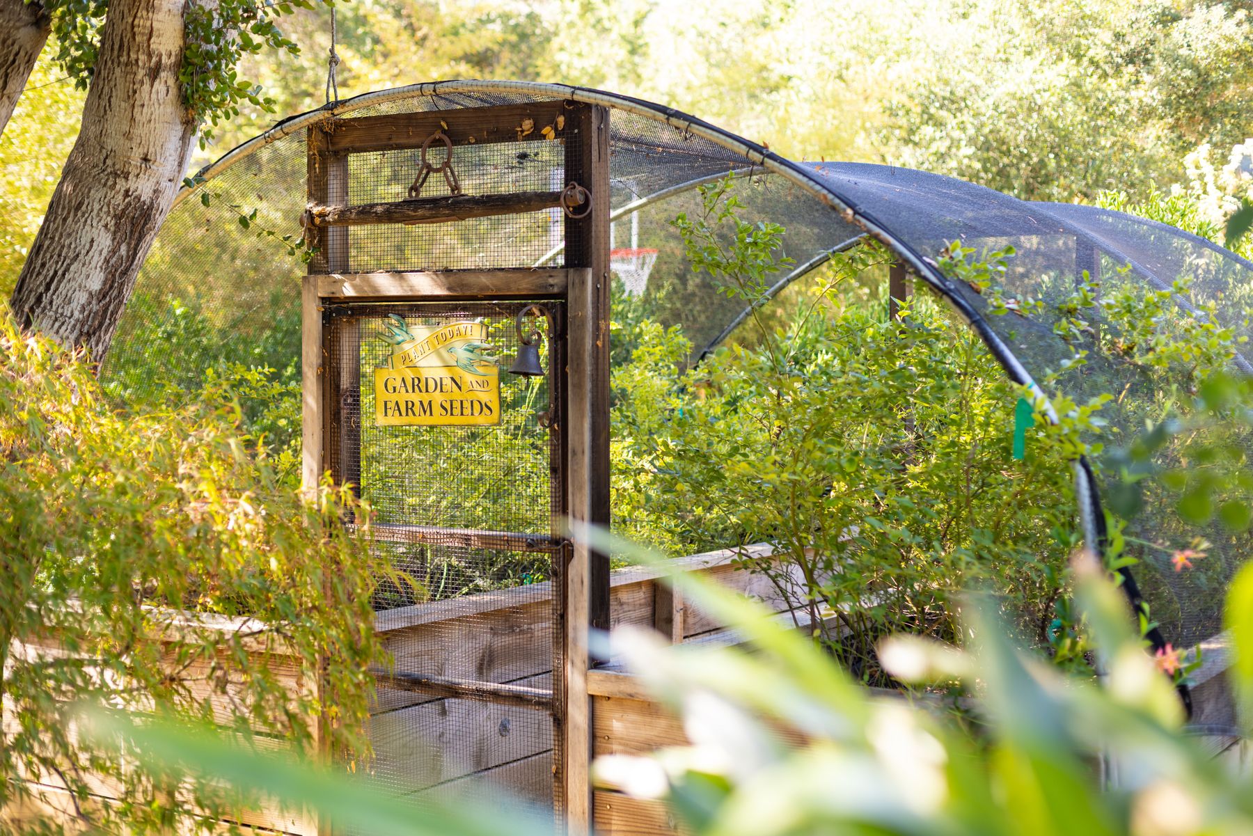  5 Acres Estate Adjacent to the Ojai Valley Inn & Spa  Rustic Bohemian Compound - 物件實景