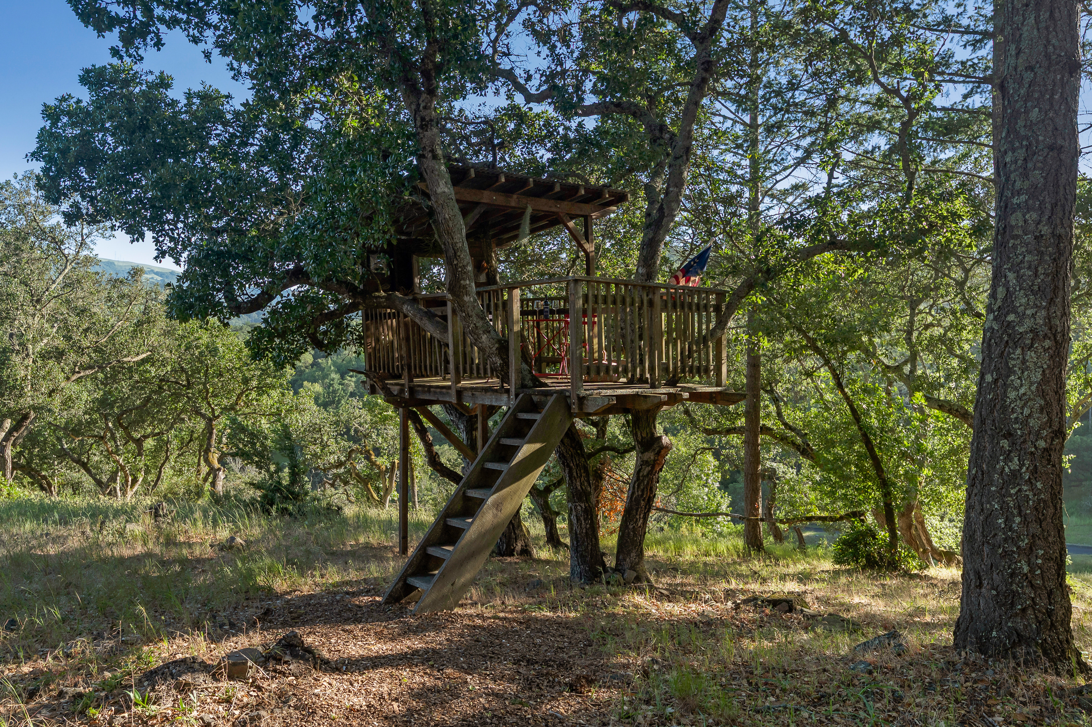  4296 Savannah Trail - 物件實景