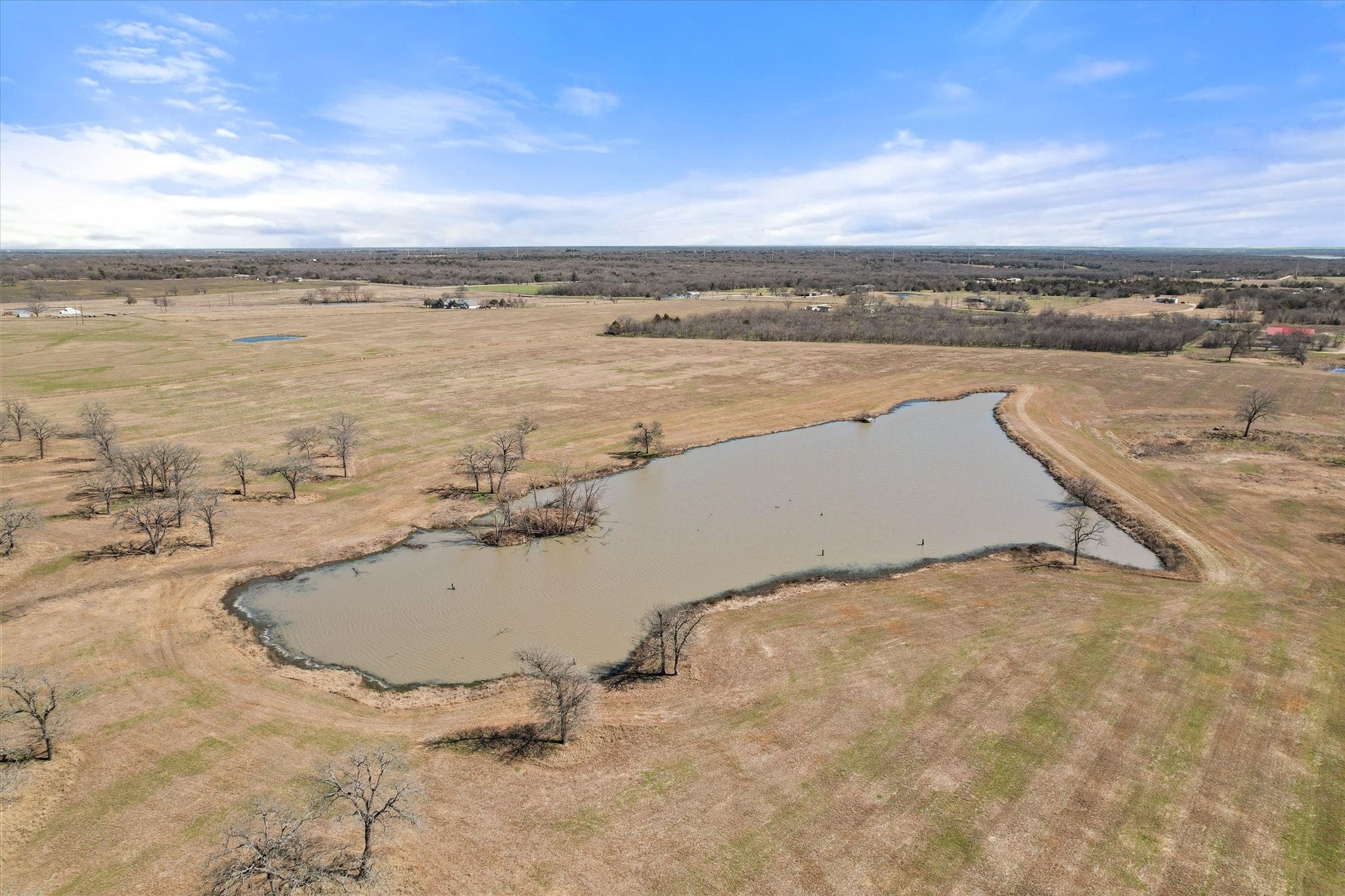 Frost, Texas, 76641, United States, ,Land,For Sale,1978385