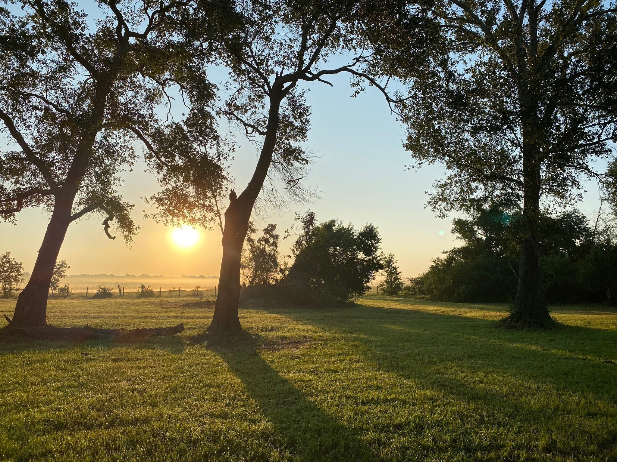 Hockley, Texas, 77447, United States, 2 Bedrooms Bedrooms, ,1 BathroomBathrooms,Residential,For Sale,1974890