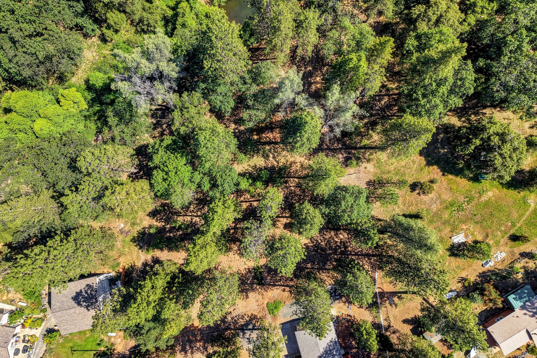  Immaculately Maintained Country Retreat on Acreage with pond - 物件實景