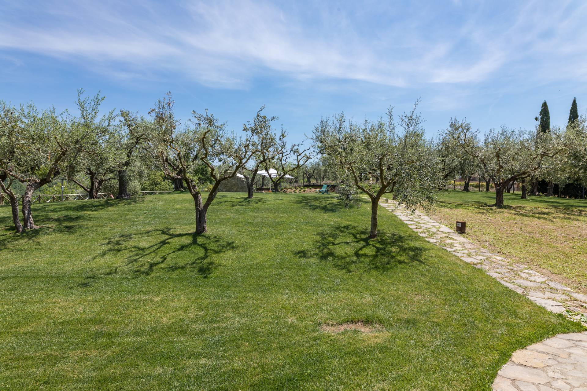 Collazzone, Perugia, 06050, IT, 6 Bedrooms Bedrooms, ,5 BathroomsBathrooms,Residential,For Sale,1867423