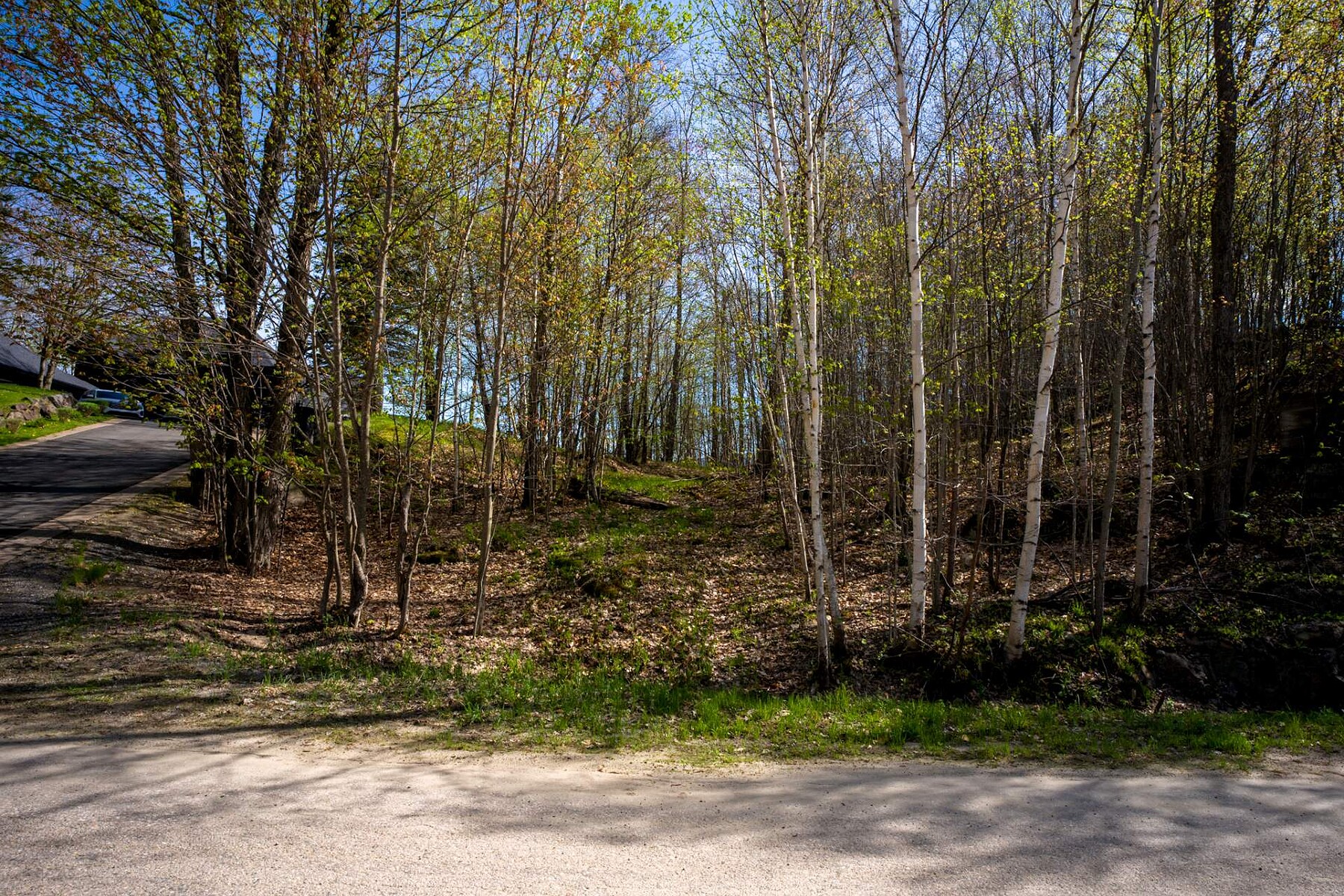  Mont-Tremblant, Laurentides - 物件實景