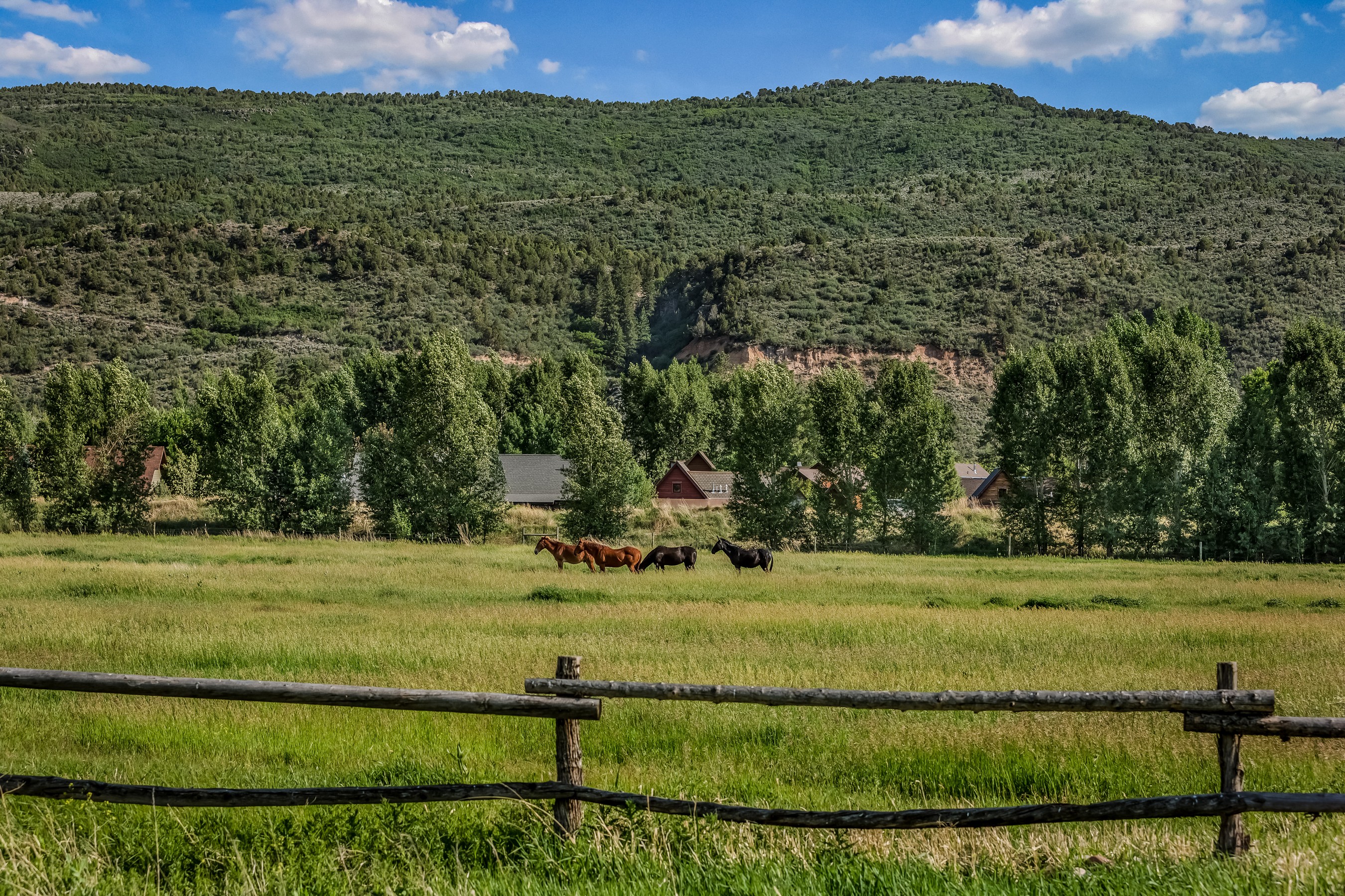  11 Piñon Lane, Carbondale, CO 81623 - 物件實景