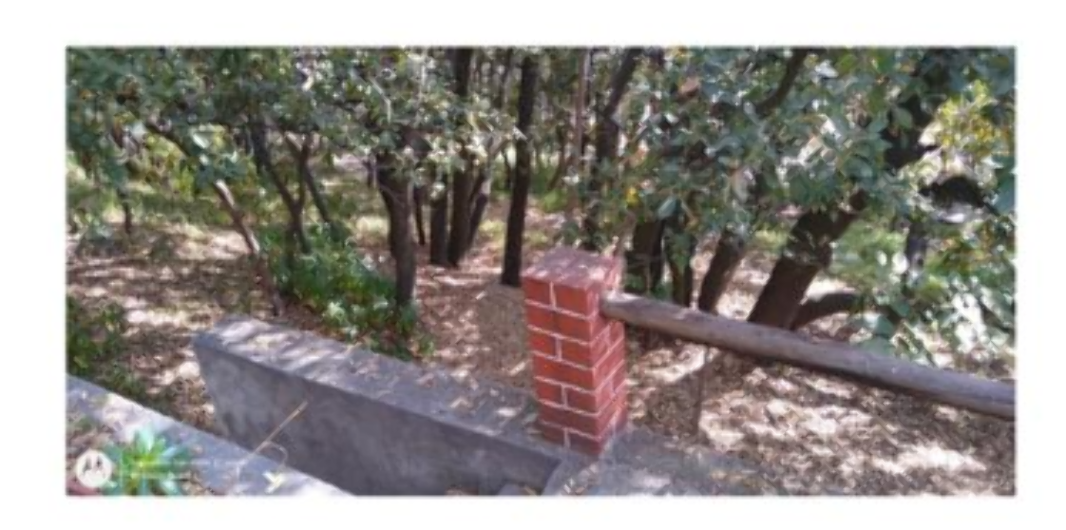 Av de los Cipreses, Naucalpan de Juárez, Estado de México, 53229, Mexico, 1 Bedroom Bedrooms, ,Residential,For Sale,Av de los Cipreses,1444228