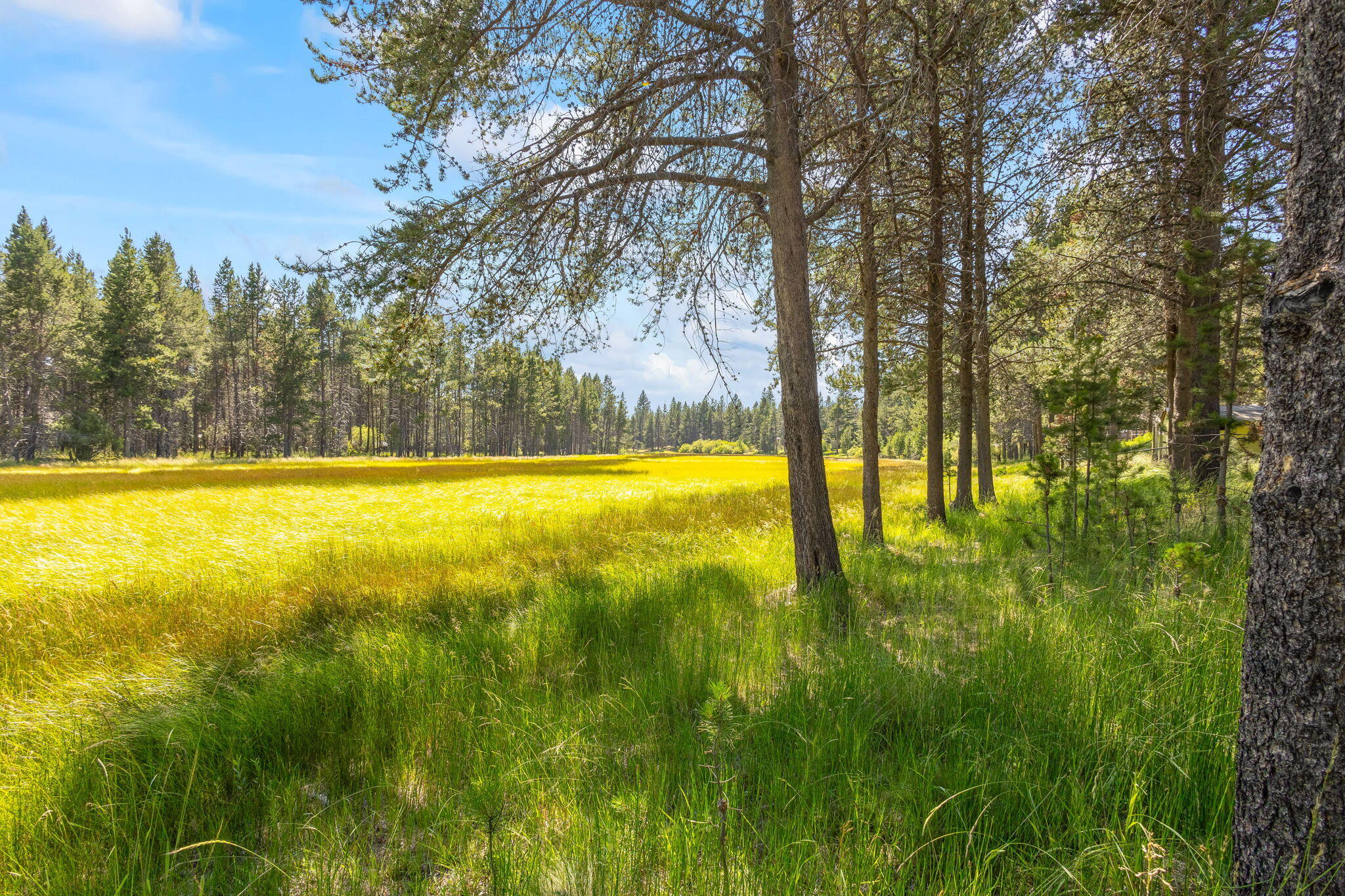 Bend, Oregon, 97707, United States, 3 Bedrooms Bedrooms, ,2 BathroomsBathrooms,Residential,For Sale,1983527