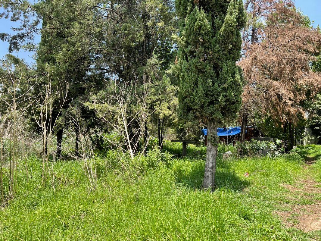 Segunda Cerrada de Leandro Valle, Tlalnepantla de Baz, Estado de México, 54040, Mexico, 1 Bedroom Bedrooms, ,Residential,For Sale,Segunda Cerrada de Leandro Valle,1622888