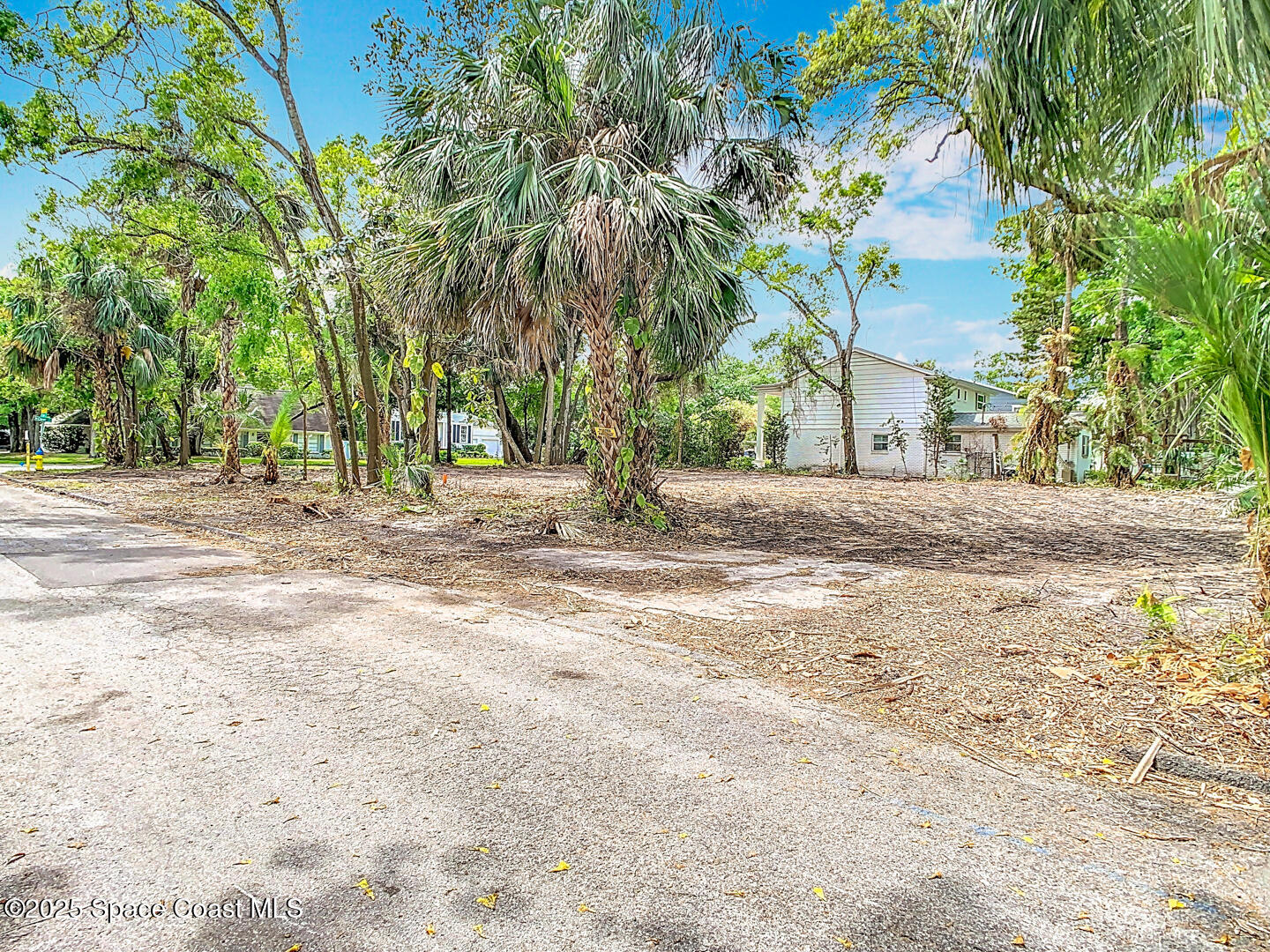 Tampa, Florida, 33629, United States, ,Land,For Sale,1751522