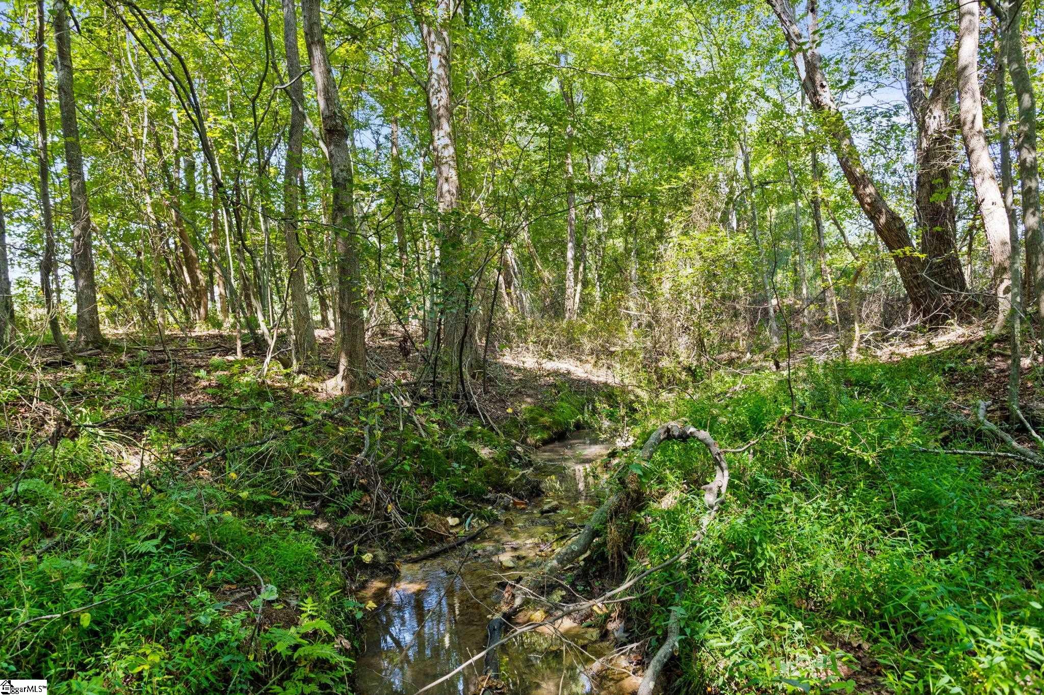 Piedmont, South Carolina, 29673, United States, ,Land,For Sale,1926423