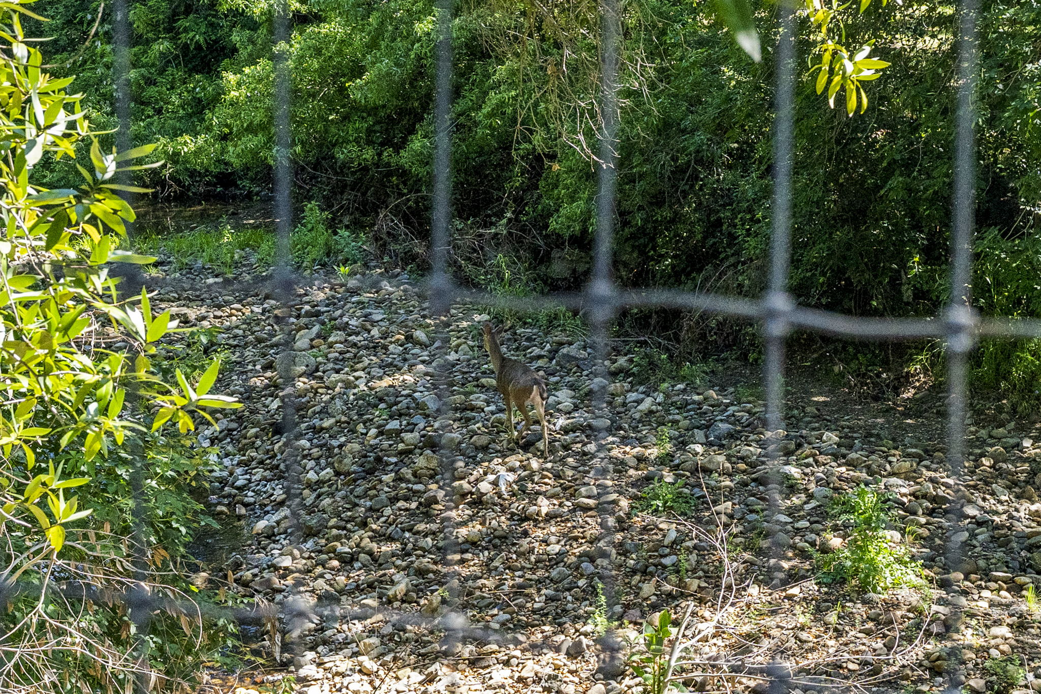  2608 West Pueblo Avenue Napa - 物件實景