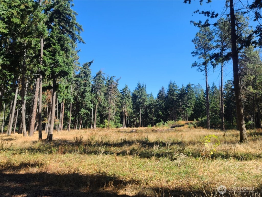 Cle Elum, Washington, 98922, United States, 1 Bedroom Bedrooms, ,1 BathroomBathrooms,Residential,For Sale,1901684