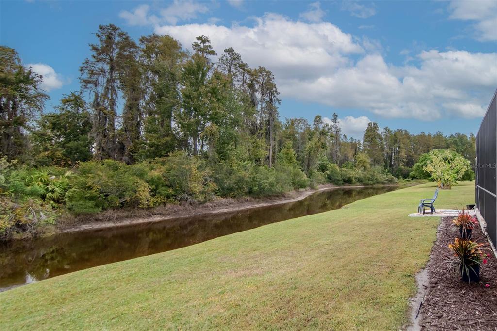 Wesley Chapel, Florida, 33543, United States, 4 Bedrooms Bedrooms, ,2 BathroomsBathrooms,Residential,For Sale,1991186