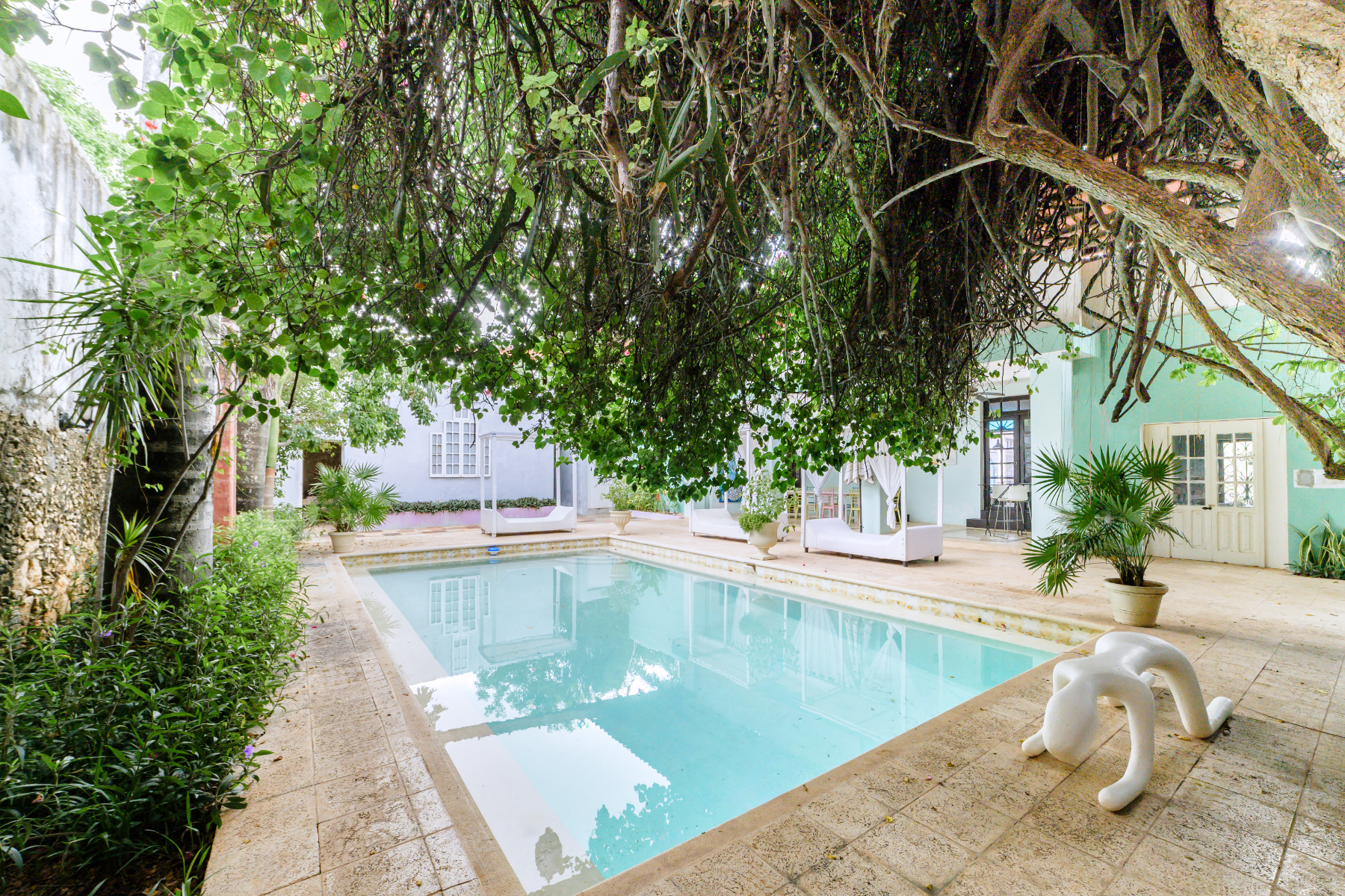  DOWNTOWN MERIDA HERITAGE RETREAT - 物件實景