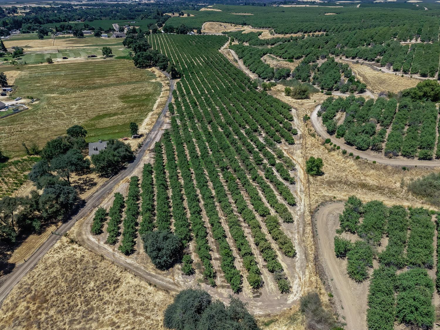 Oakdale, California, 95361, United States, 3 Bedrooms Bedrooms, ,2 BathroomsBathrooms,Residential,For Sale,1982799