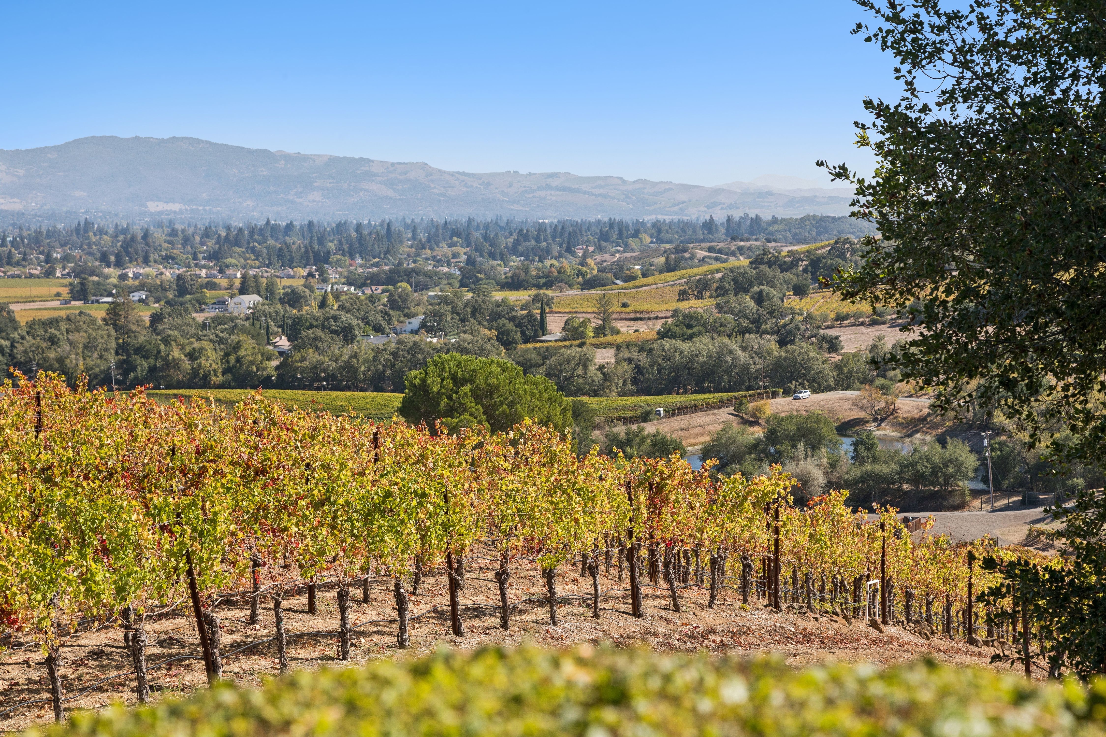  Exceptional Napa Valley Legacy Property - 物件實景