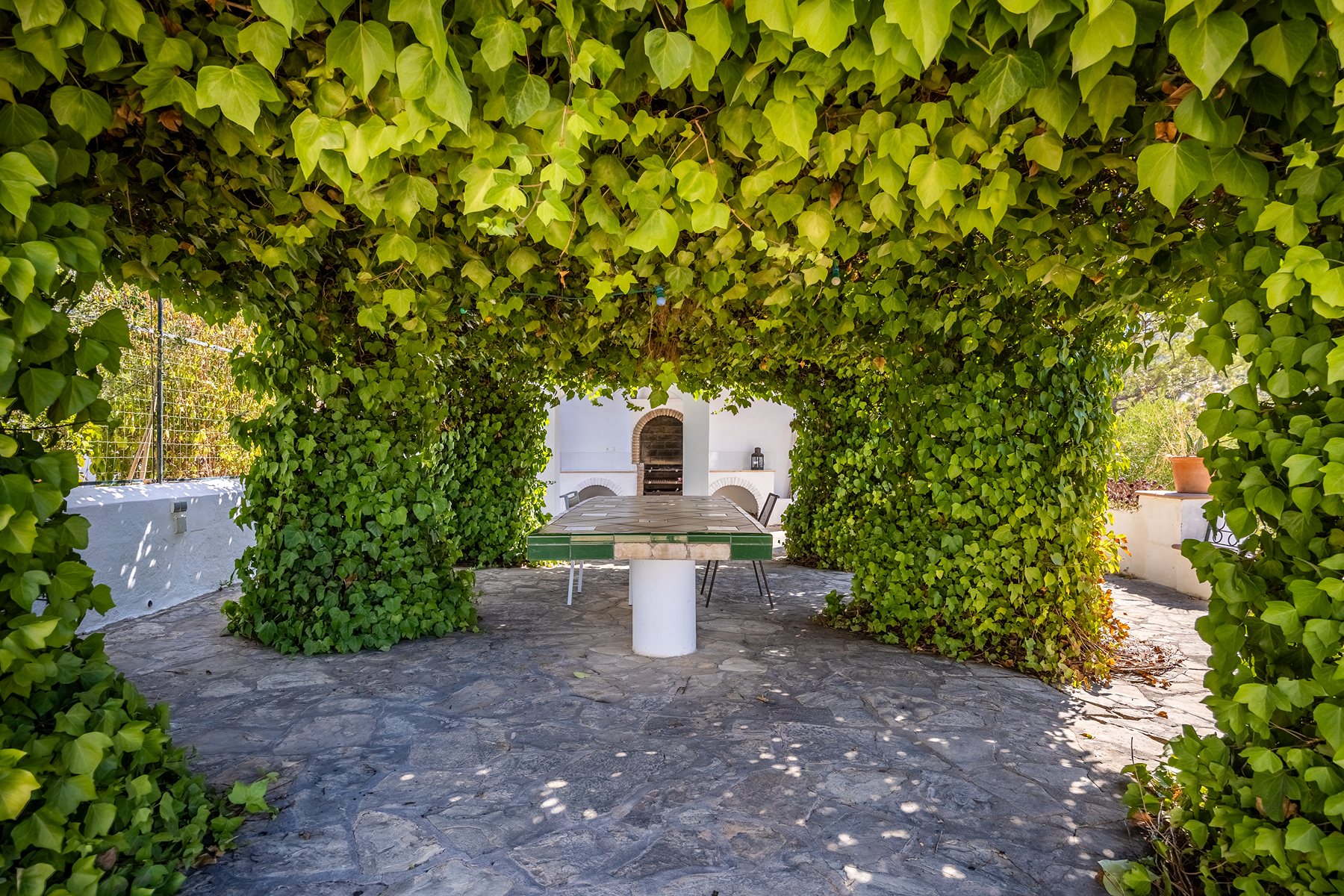  Country house in the province of Cádiz - 物件實景