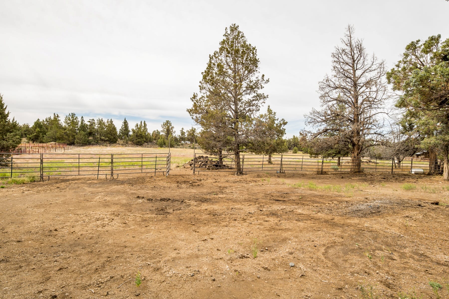  22305 Neff Road Bend, OR 97701 - 物件實景