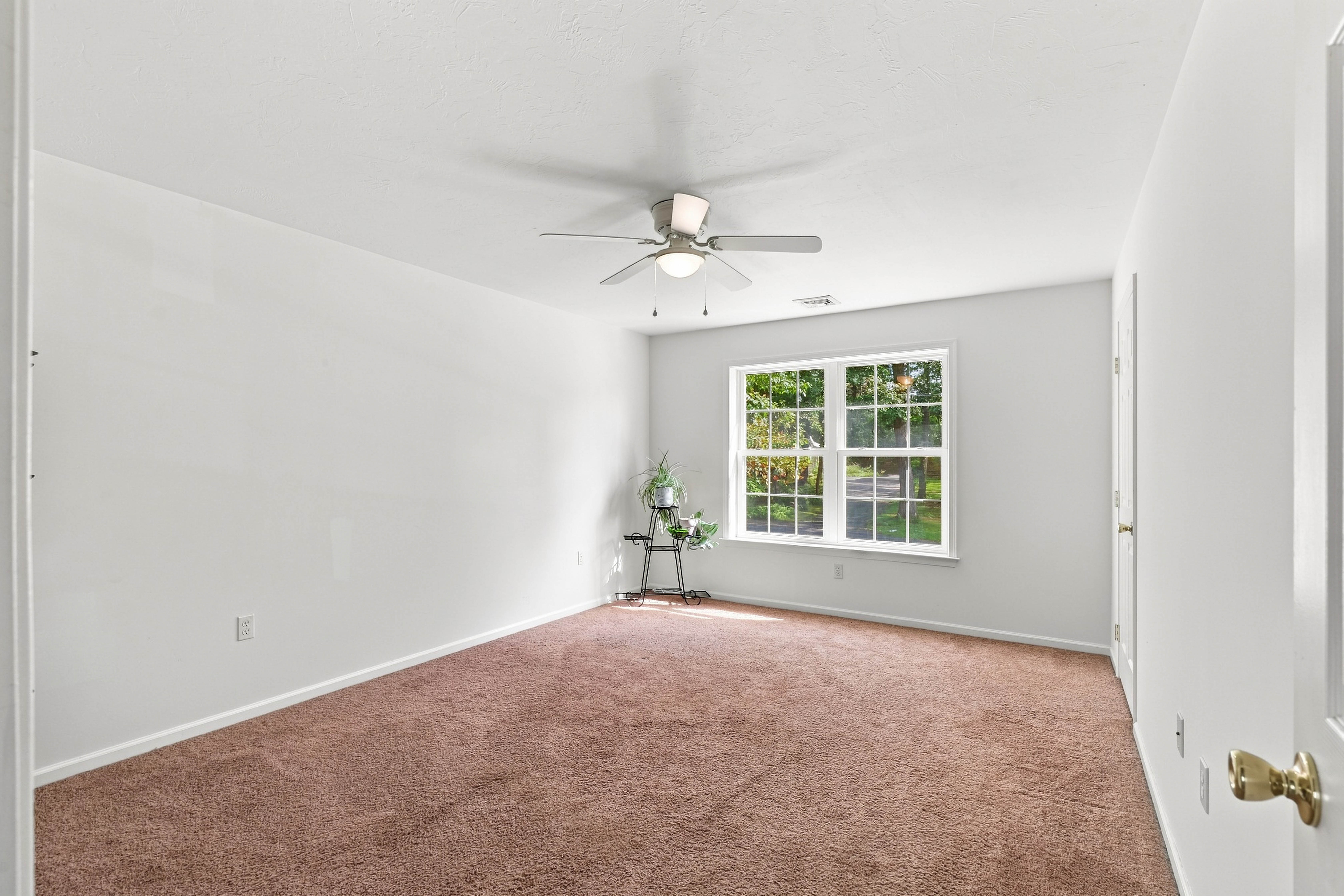  501 Bald Eagle Ct - 物件實景