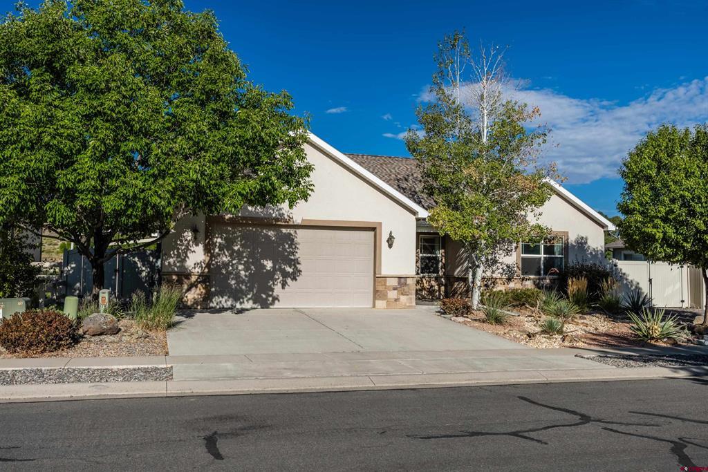 Alta Lakes Ave, Montrose, CO 81403 #1
