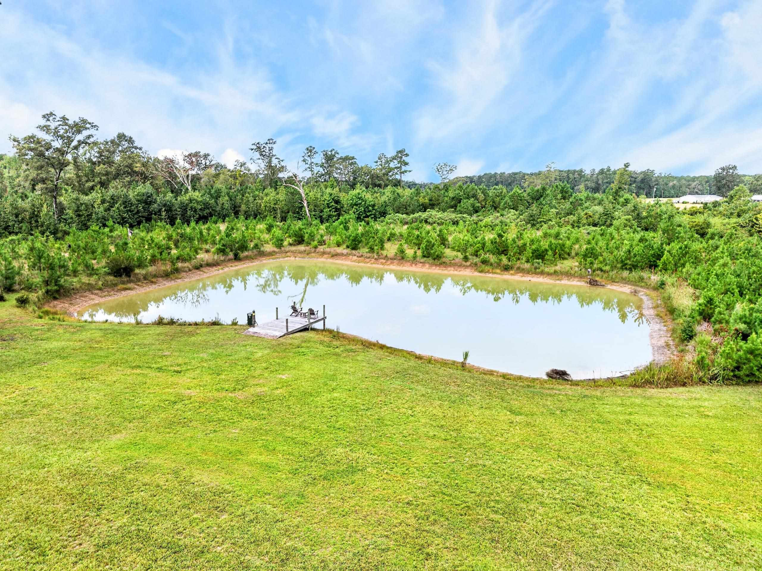  8812 Thurgood Marshall Hwy  Andrews, SC - 物件實景