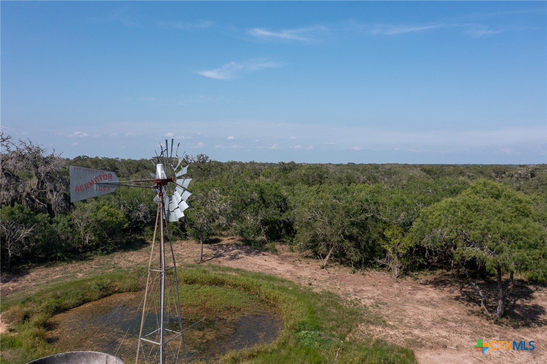 Yorktown, Texas, 78164, United States, ,Land,For Sale,1858167
