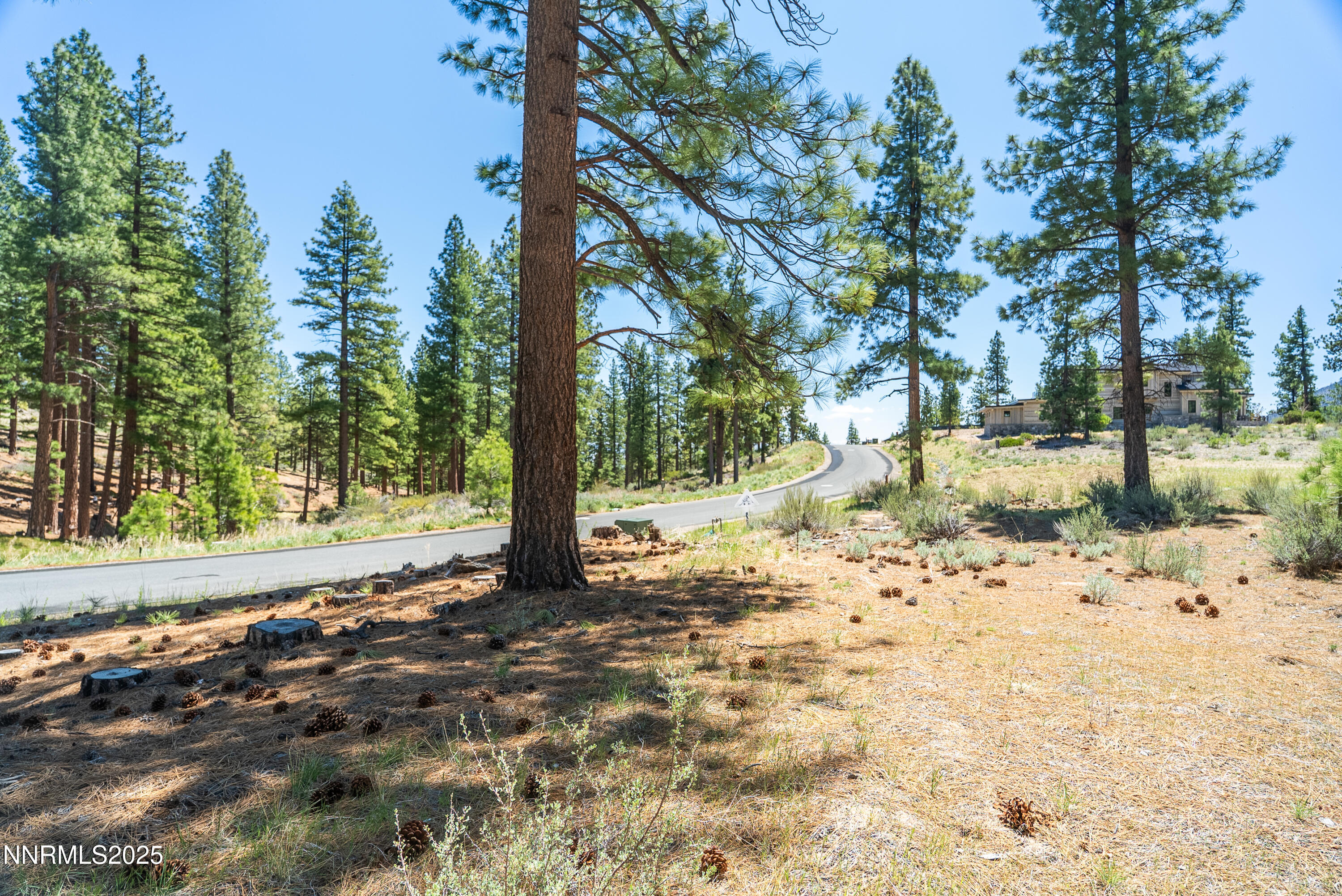 Carson City, Nevada, 89705, United States, ,Land,For Sale,1848376