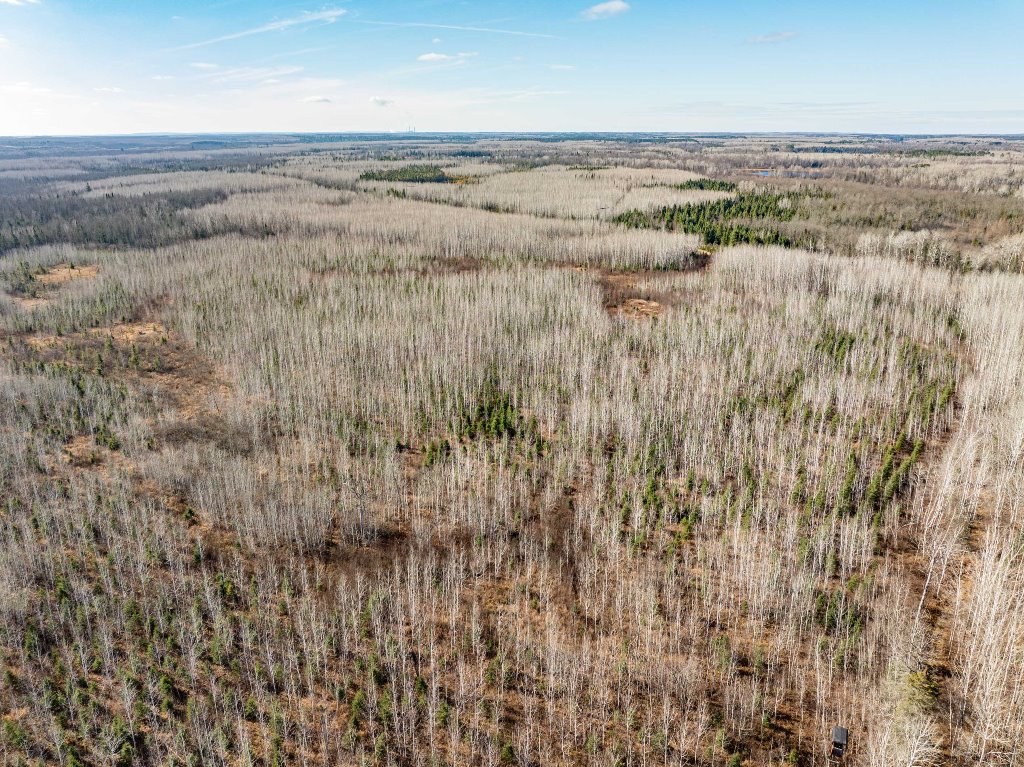 Grand Rapids, Minnesota, 55744, United States, ,Land,For Sale,1983791