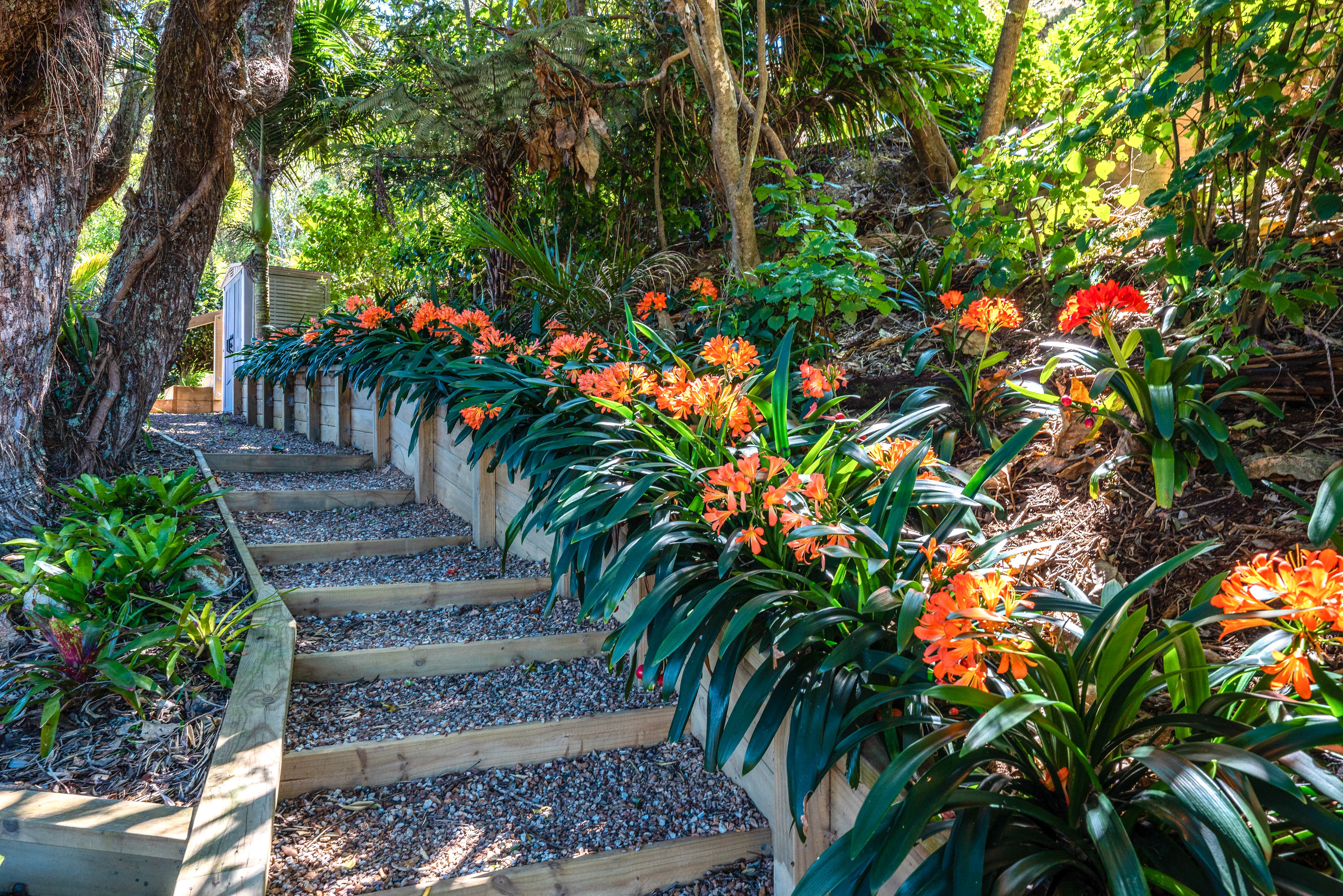  30-32 Wairua Road, Waiheke Island - 物件實景