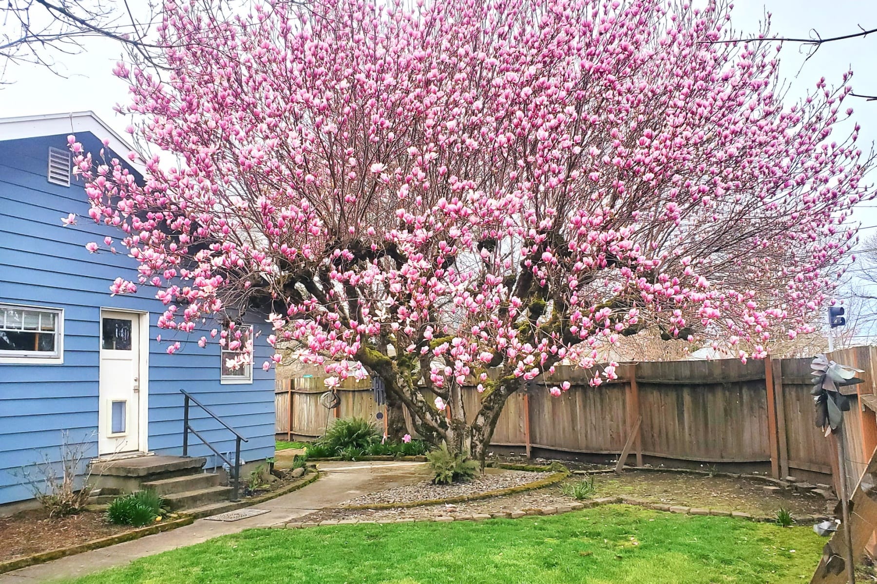  1515 N KILPATRICK ST Portland, OR 97217 - 物件實景