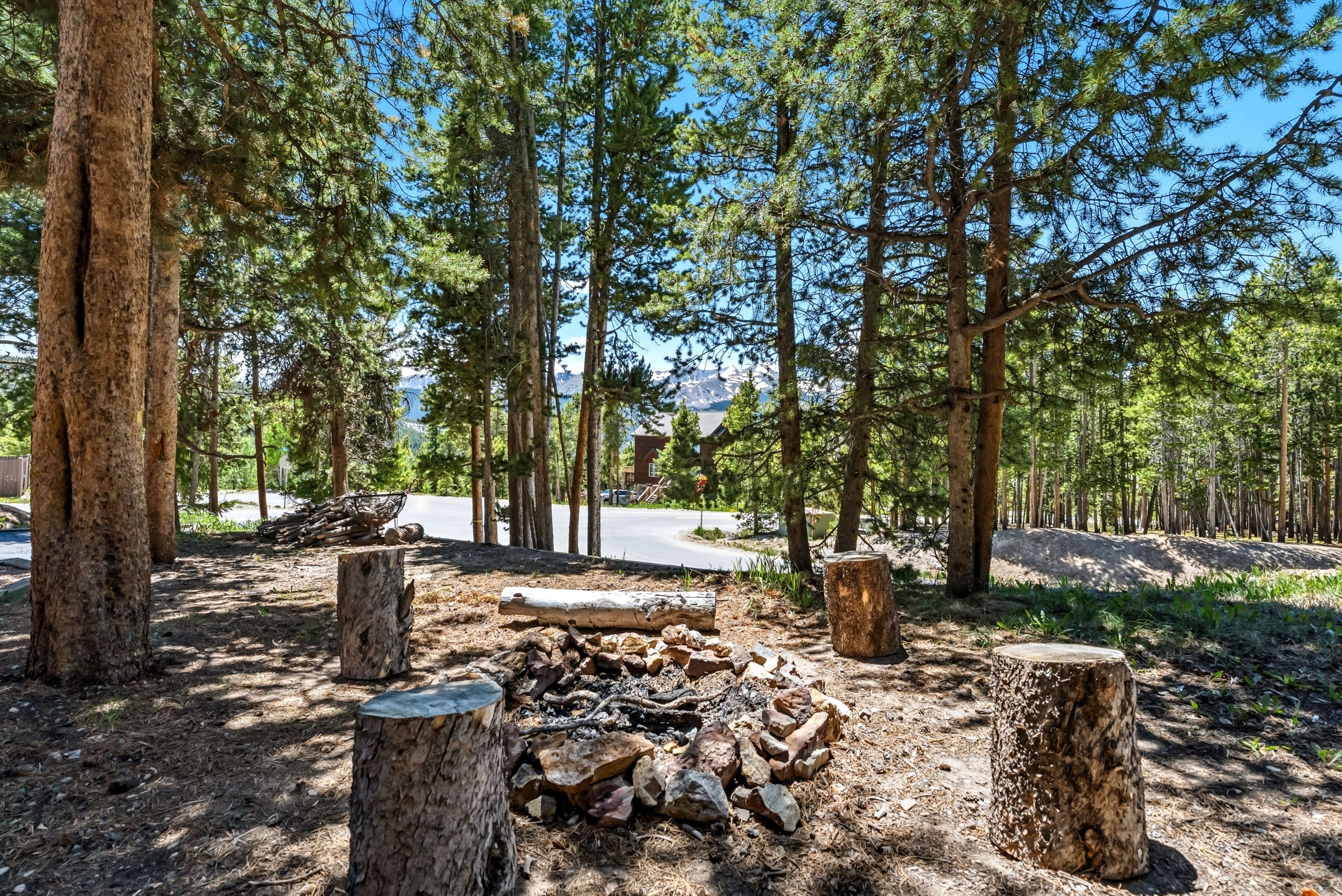  1233 Baldy Road, Breckenridge, CO 80424 - 物件實景