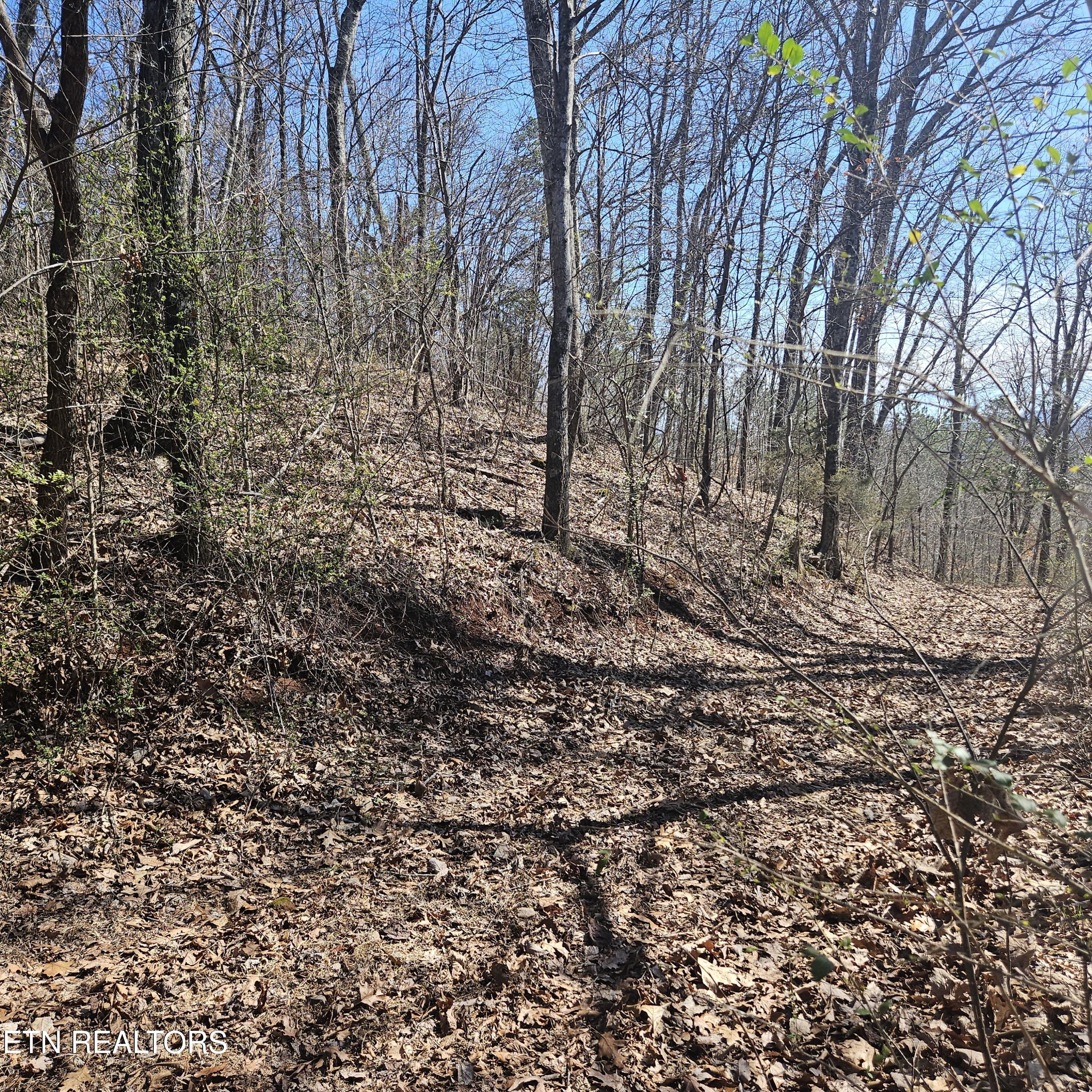 Tellico Plains, Tennessee, 37385, United States, ,Residential,For Sale,1922105