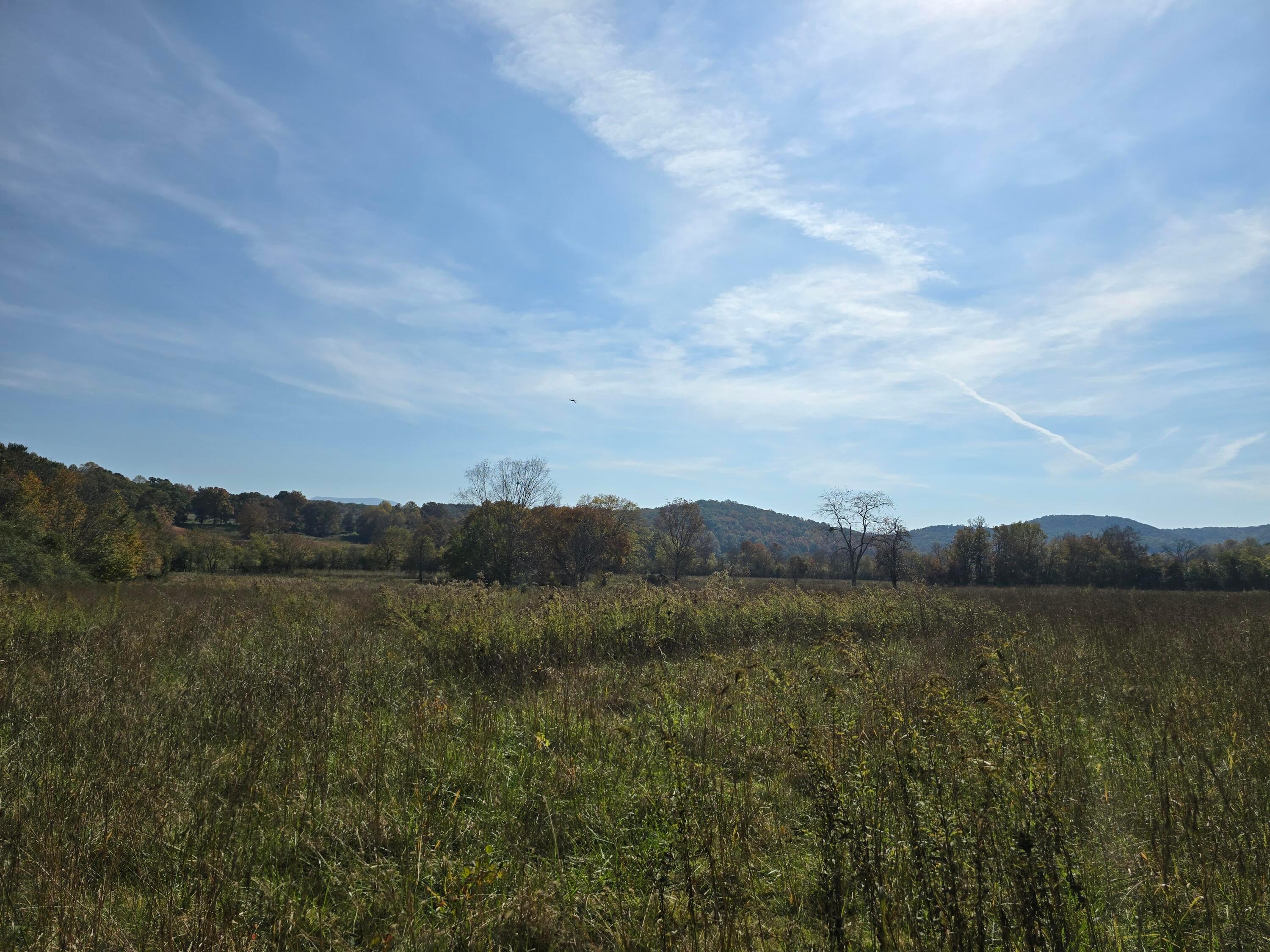 1379 Sand Mountain Road, Ocoee, Tennessee, 37361, United States, ,Residential,For Sale,1379 Sand Mountain Road,1649302