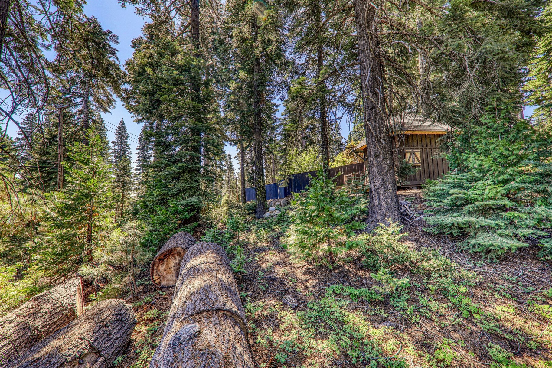  Buildable Lot Between Sunnyside and Tahoe City, Excellent Location - 物件實景