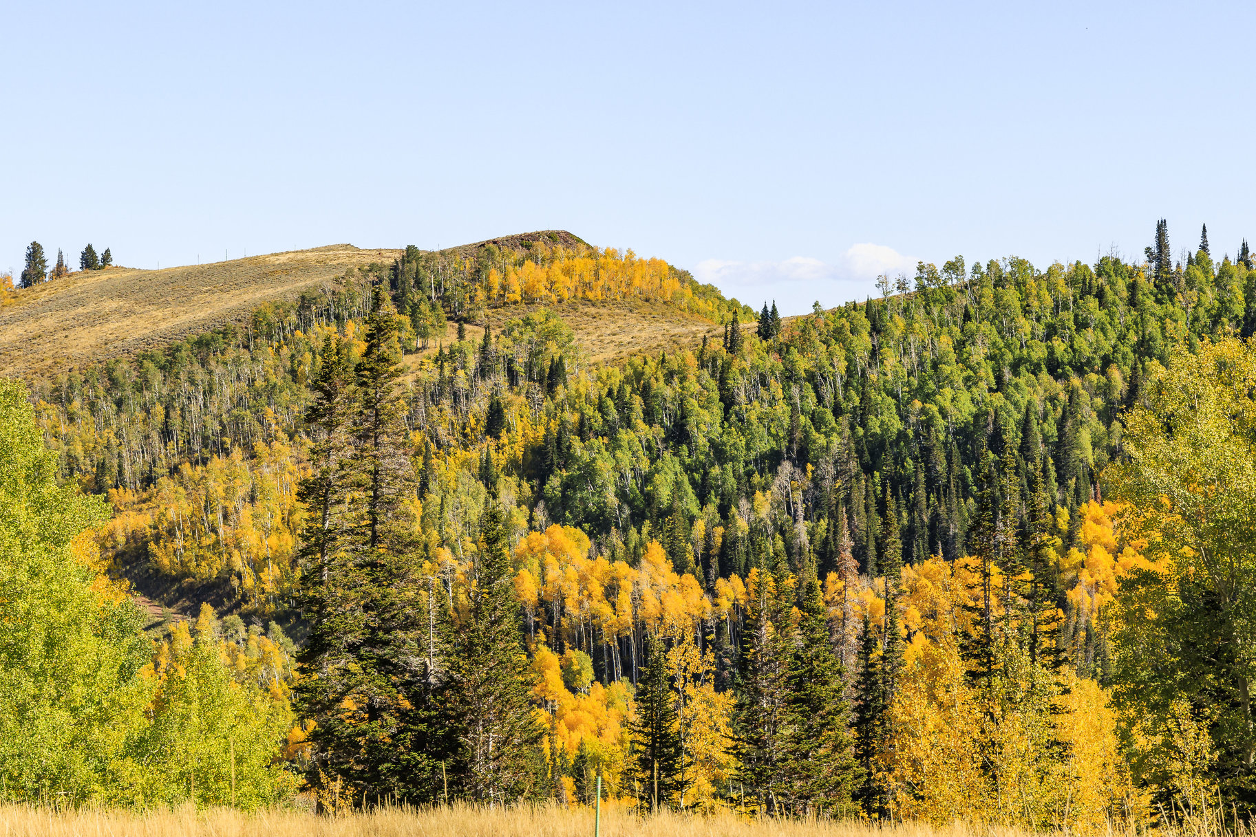  Incredible 28 Acre Estate Lot in the Colony at White Pine Canyon - 物件實景