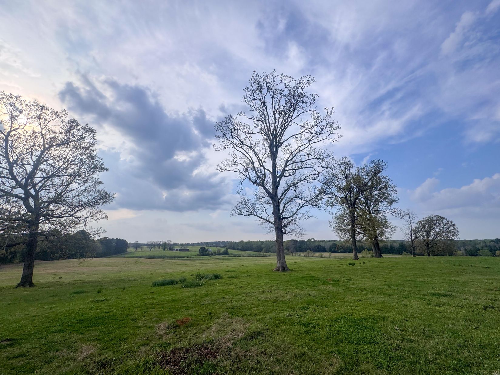Bivins, Texas, 75555, United States, ,Residential,For Sale,1755933