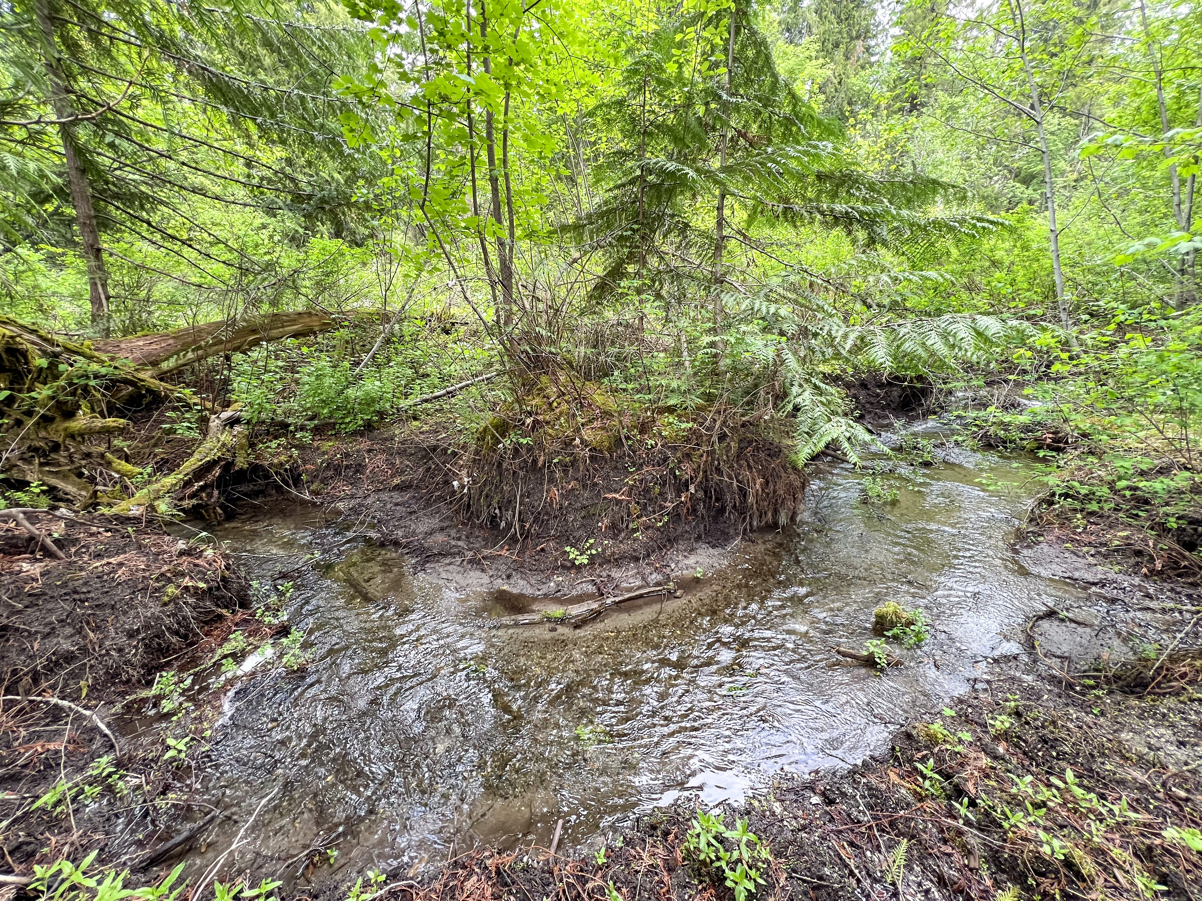 Kettle Falls, Washington, 99141, United States, 3 Bedrooms Bedrooms, ,2 BathroomsBathrooms,Residential,For Sale,1985709